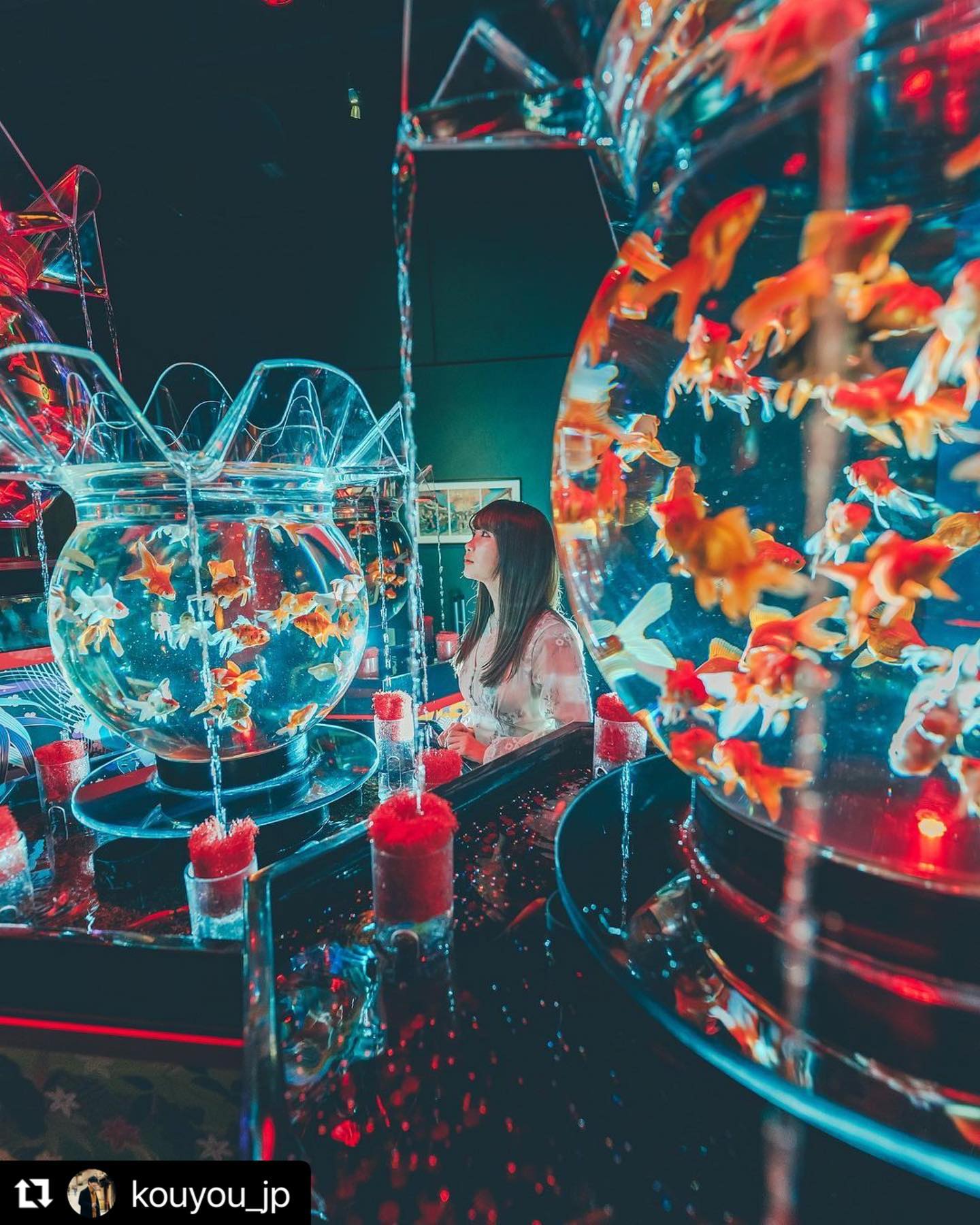 日本東京的Art Aquarium美術館每年都會舉辦「夏季金魚納涼祭典」，主打夢幻魚缸、現代燈法和五彩繽紛的金魚遨遊，絢爛的外表下卻犧牲了無數的魚兒。（翻攝自facebook @アートアクアリウム / ART Aquarium）
