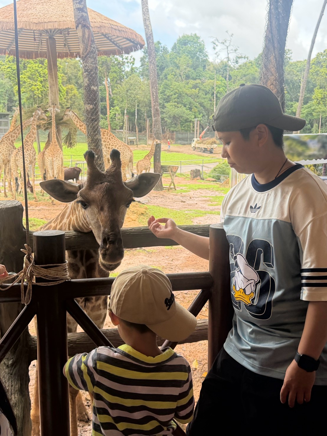 饗賓集團的同仁趁員工旅遊,帶小孩到越南富國島的動物園體驗餵食長頸鹿。(饗賓集團提供)