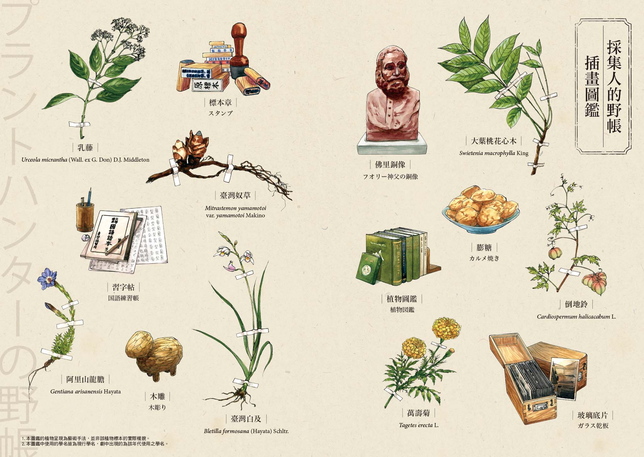 英張會從該集故事中，挑選適合繪製成彩色圖鑑的植物與相關物品。（蓋亞文化提供）