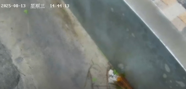 楊柳颱風來襲，小琉球鏡頭君遭襲擊只能拍地面。（翻攝自「小琉球即時影像 - 花瓶岩」直播）　