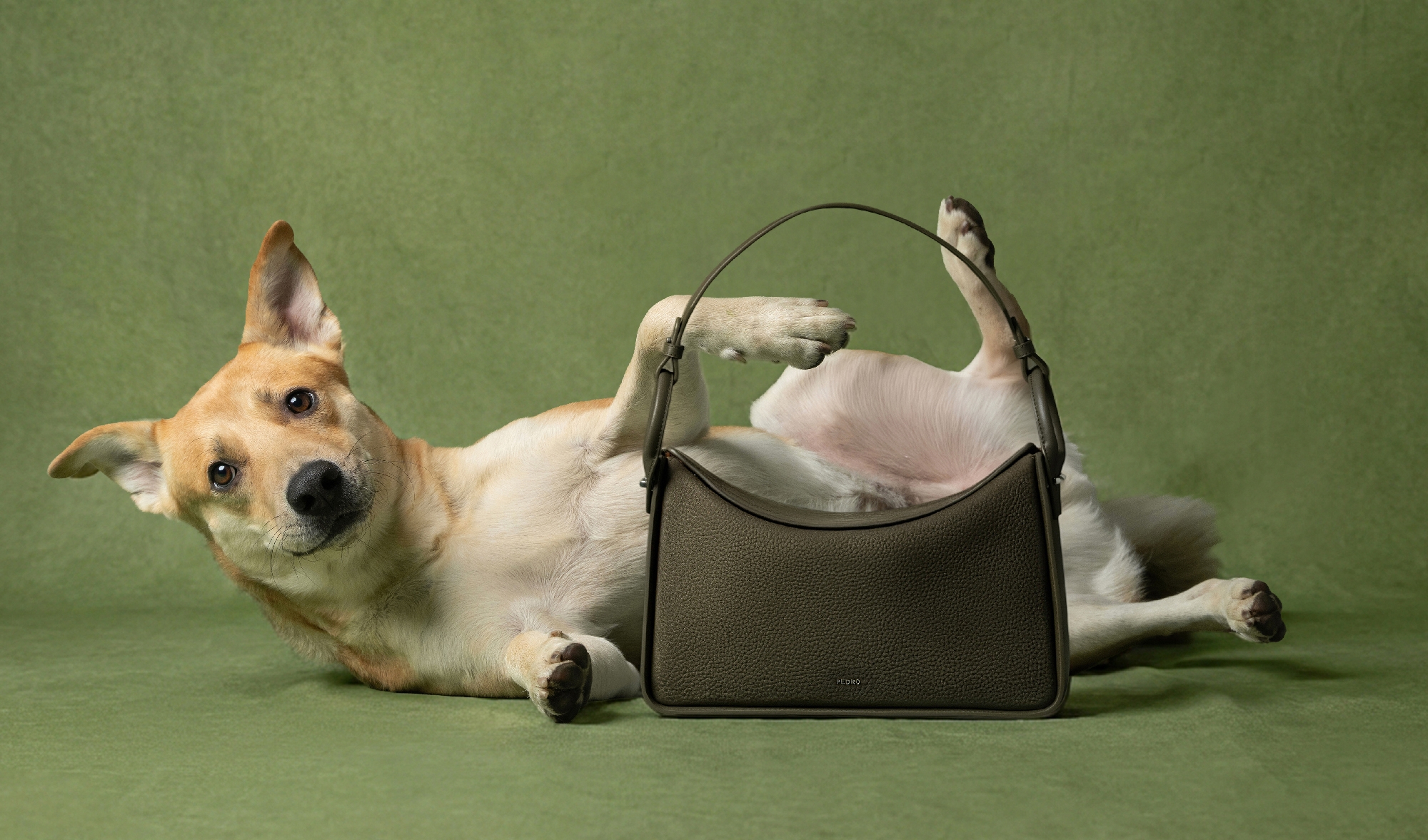 狗狗「后羿」與Demi Maxi皮革肩背包，NT$4,990。（PEDRO提供）