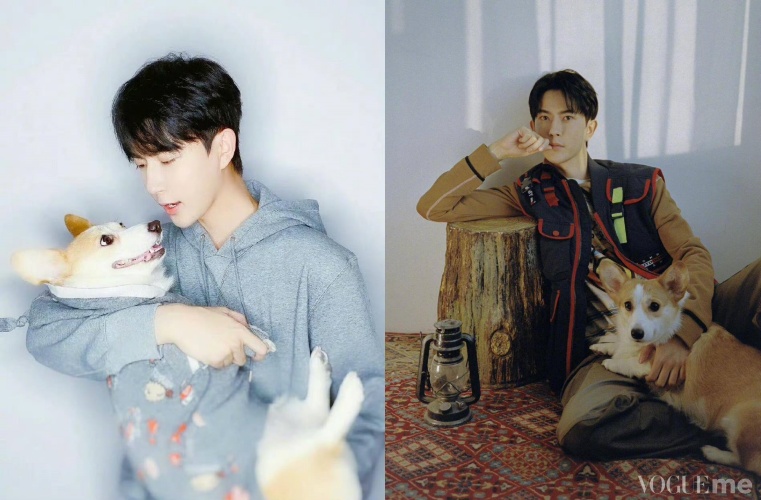 于朦朧愛犬。（翻攝自微博）