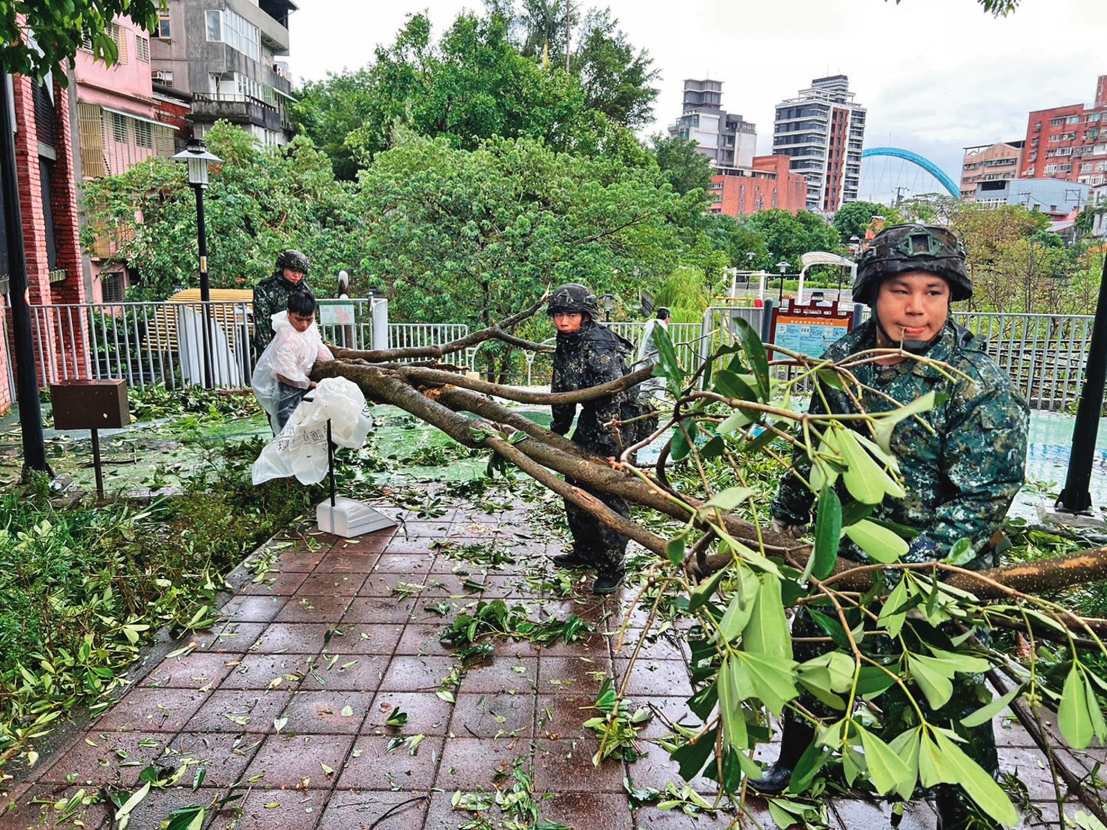 颱風過後路樹斷裂、傾倒，軍方動員協助清運。（翻攝汐止區公所臉書）