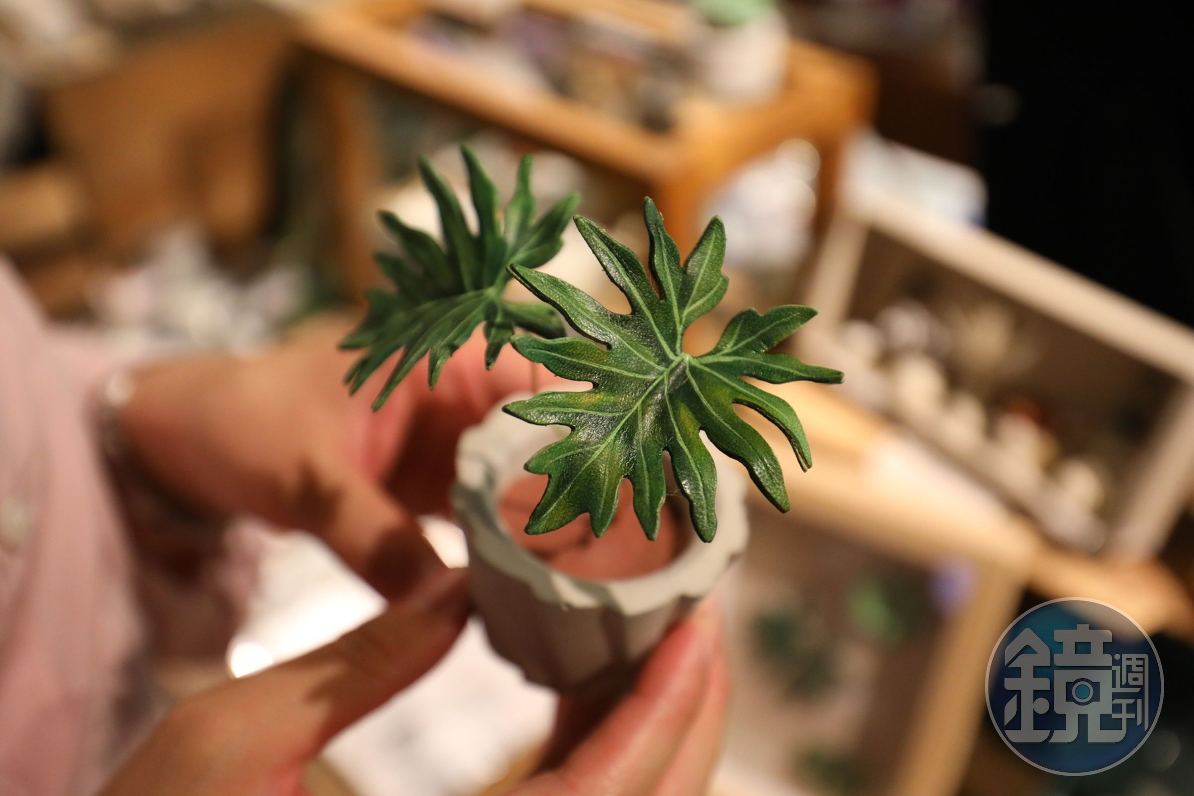 「design s'Huan」以雕刻手法將植株斑紋色彩創作為「植物殺手」也不擔心的皮革植物。(傑克林觀音蓮觀葉皮革盆栽,1,400元/個)