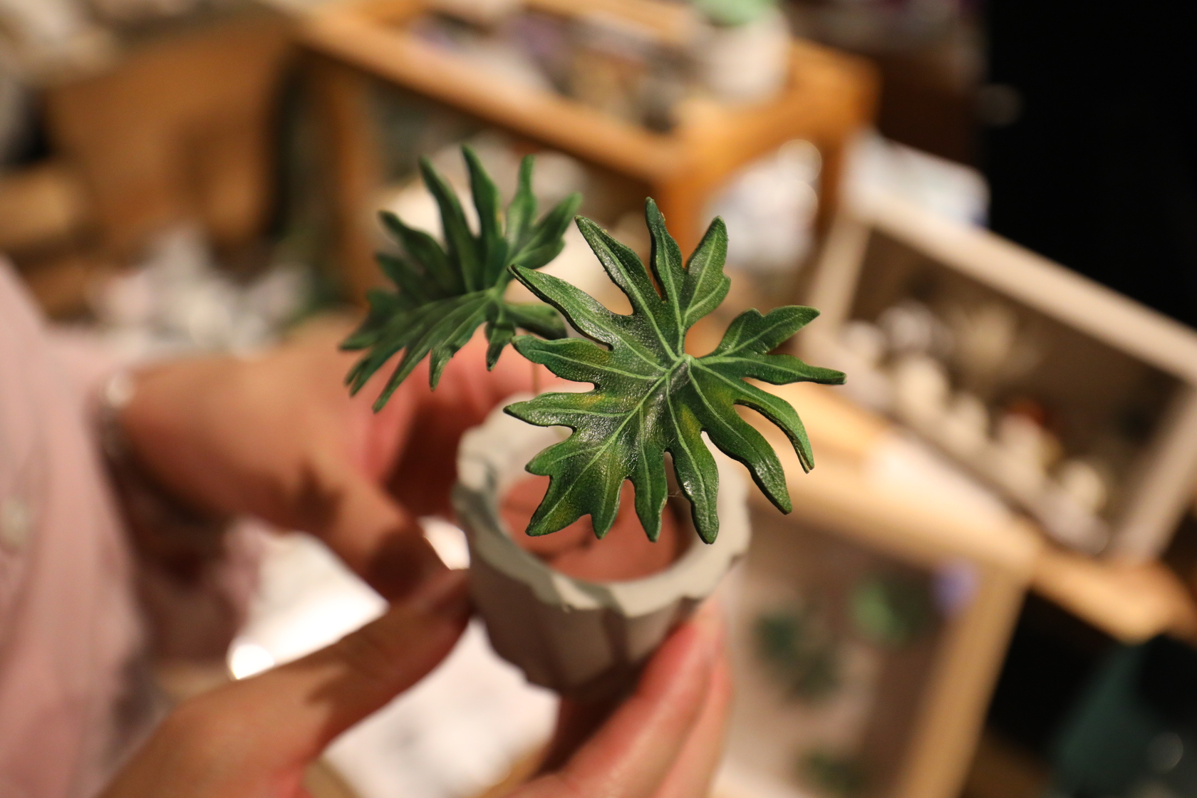 「design s'Huan」以雕刻手法將植株斑紋色彩創作為「植物殺手」也不擔心的皮革植物。（傑克林觀音蓮觀葉皮革盆栽，1,400元／個）