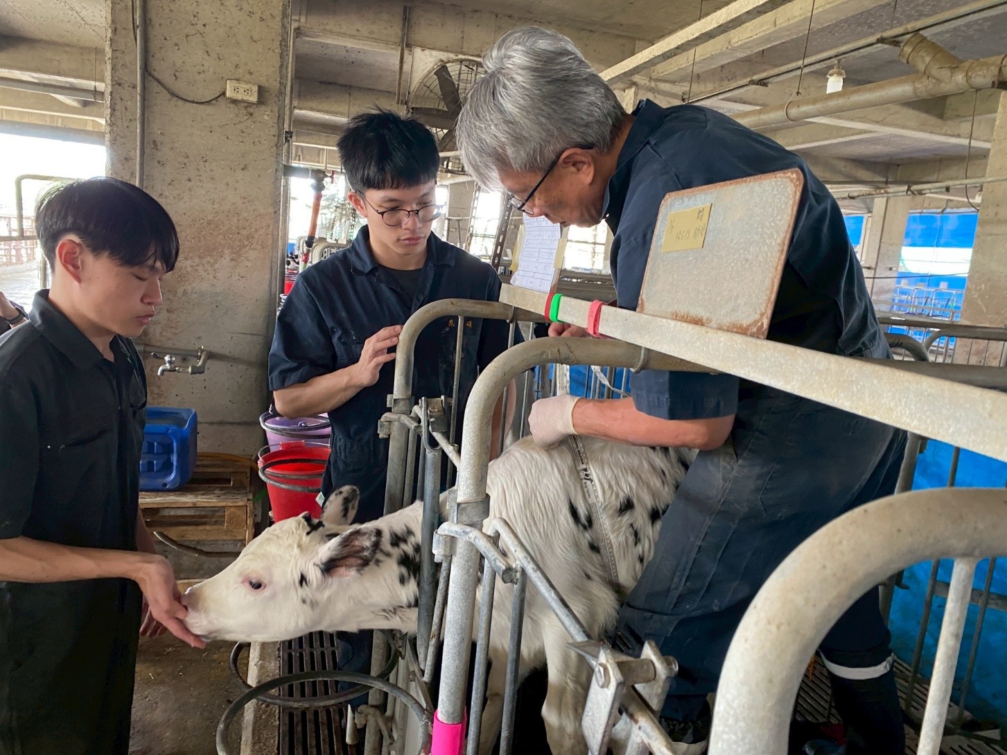 台大陳明汝教授團隊攜手生合生物科技，研發乳牛專屬益生菌技術，能有效防治乳房炎並提升乳量，顯著優化乳蛋白與酪蛋白率。
