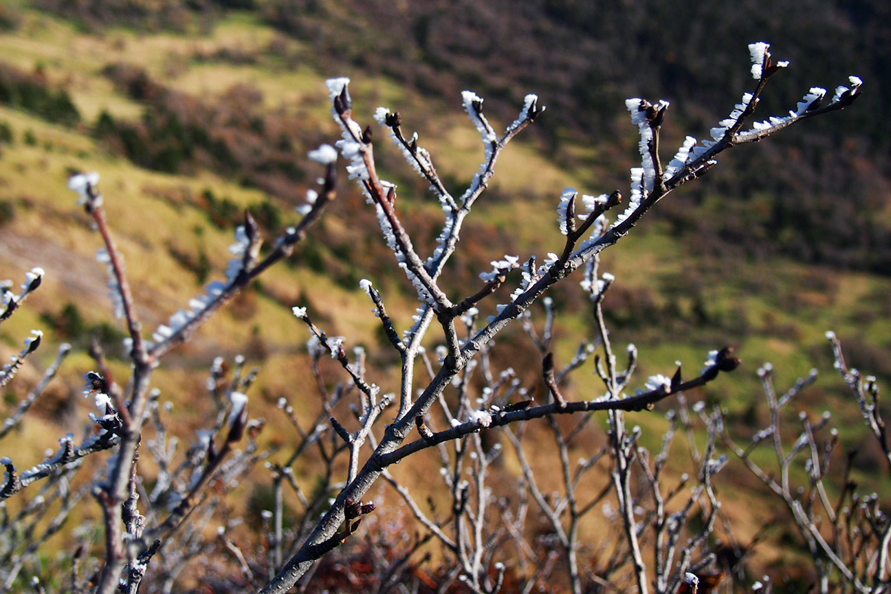 下週一（1月5日）將迎來二十四節氣中的「小寒」。（翻攝自photo-ac）