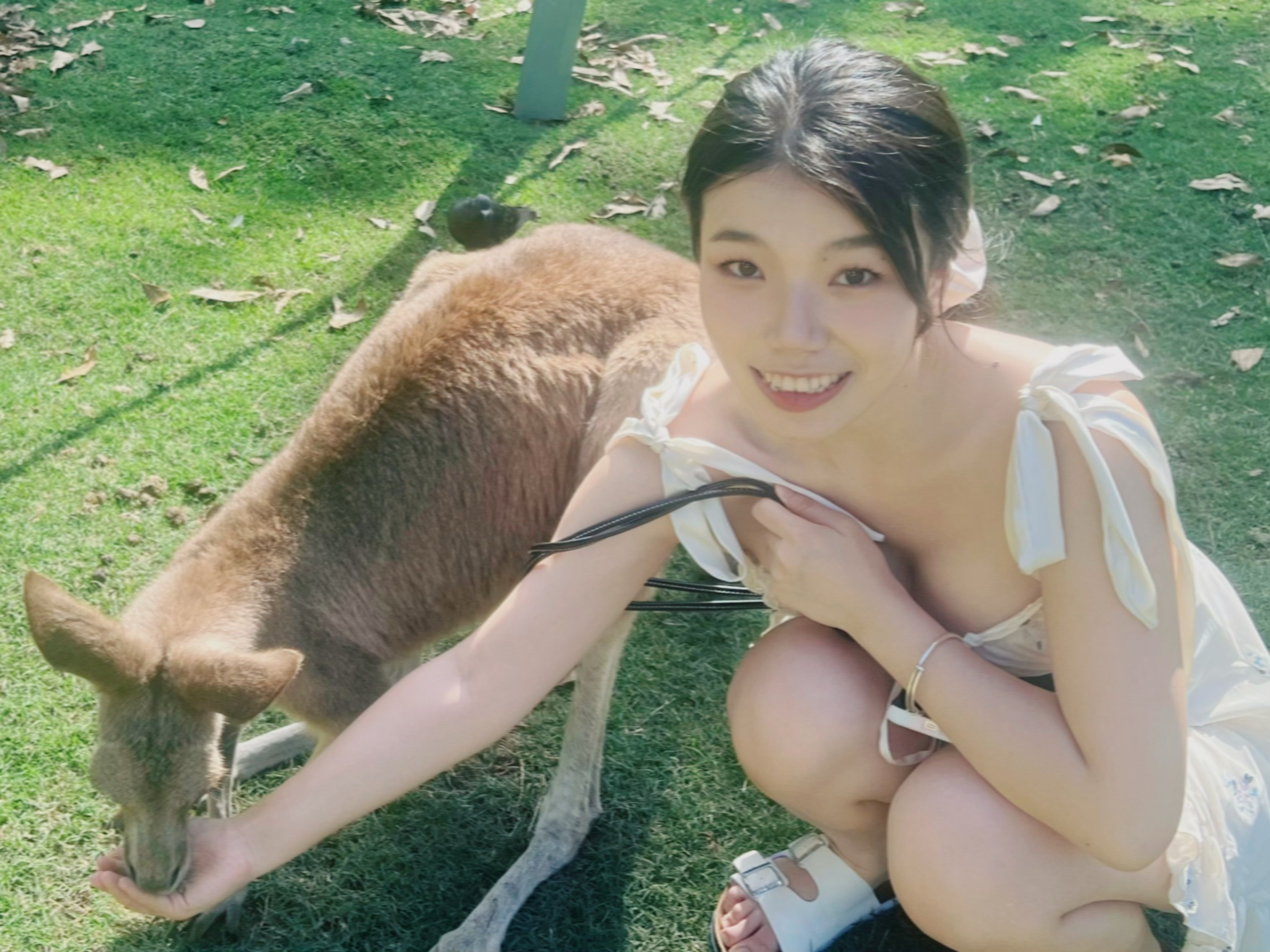 正妹餵袋鼠，網友歪樓「我眼裡看的是袋鼠奶」。（翻自X平台）