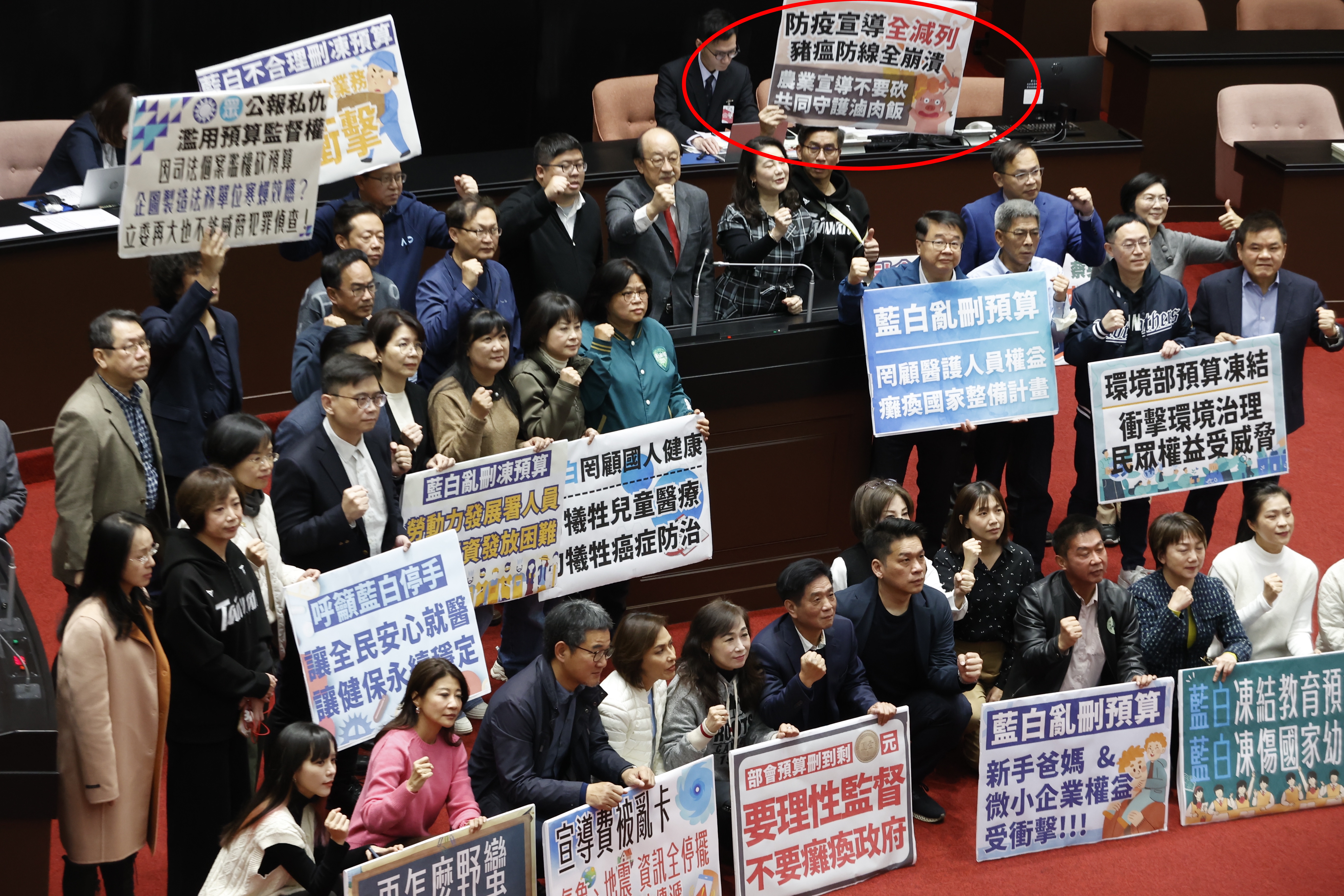 藍白陣營堅決刪預算，無視民進黨抗議，如今非洲豬瘟疫情破口成真，顯得格外諷刺與沉重。（本刊資料照）