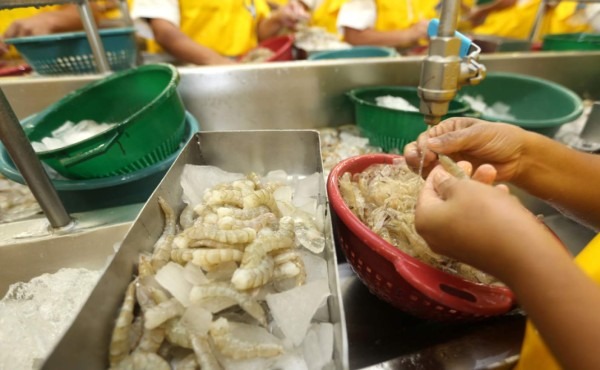 宏都拉斯與中國建交，損失台灣與墨西哥大餅！蝦農慘求113億紓困。（翻自laprensa.hn）