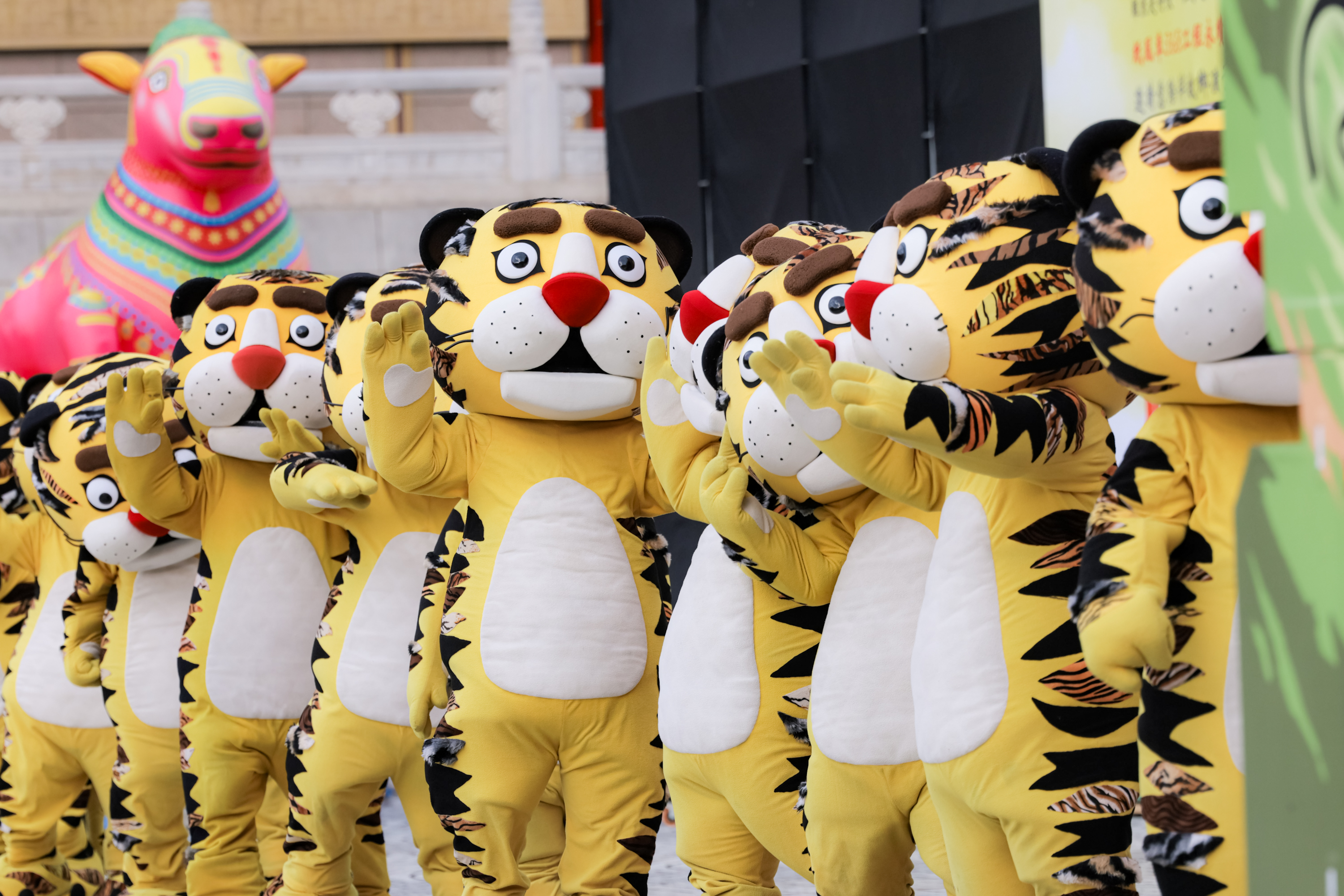 紙風車368藝術工程第三輪「永續啟航」明首演，今（18日）如火如荼彩排中。（紙風車文教基金會提供）