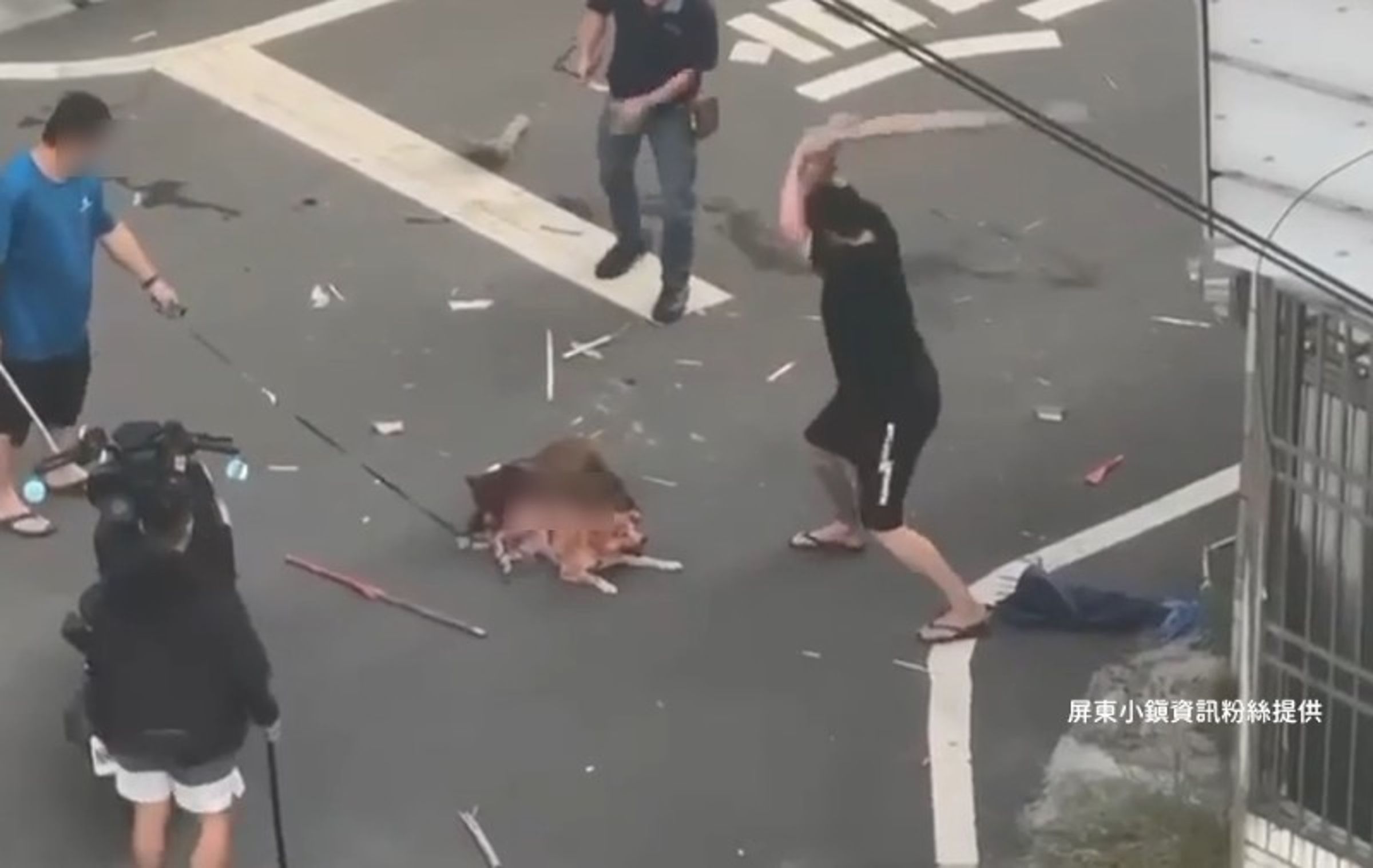 屏東縣內埔鄉14日發生比特犬撕咬柴犬的事故,民眾持棍棒企圖制止比特犬。(翻攝臉書「屏東小鎮資訊」)