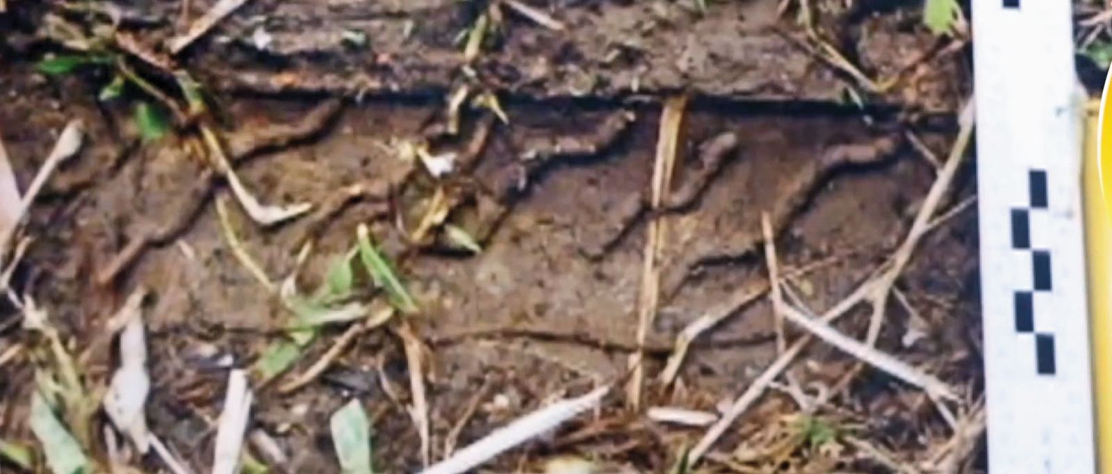 警方比對張玉庭轎車的輪胎，發現與命案現場的胎痕（圖）一致。（翻攝東森新聞）