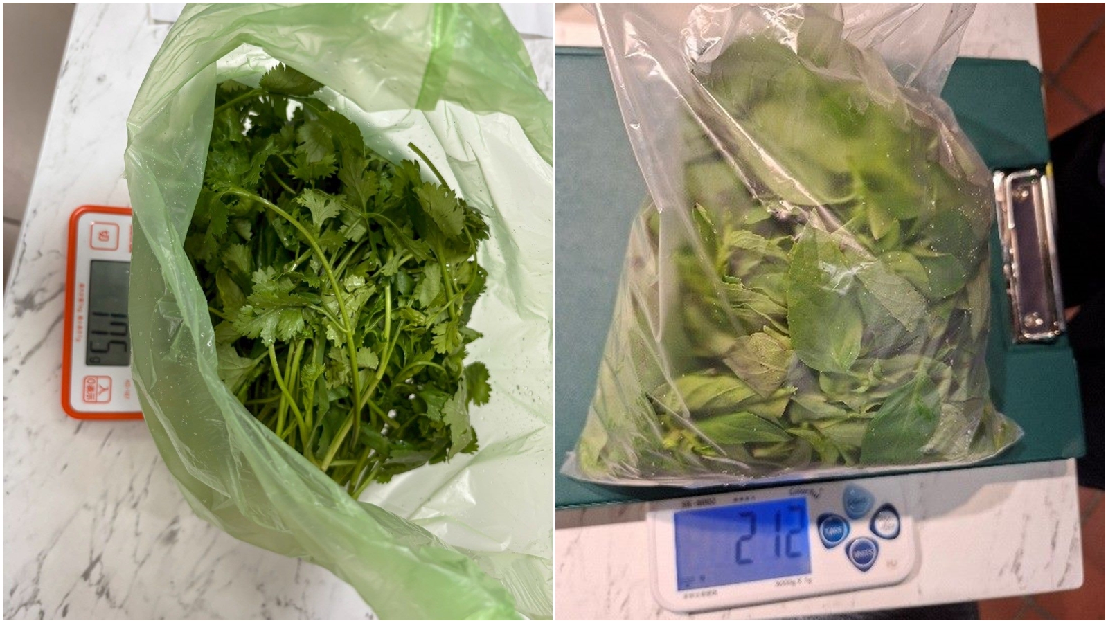 台北市衛生局今日公布5月抽驗50件生鮮蔬果,結果有13件產品不符合規定。(台北市衛生局提供)