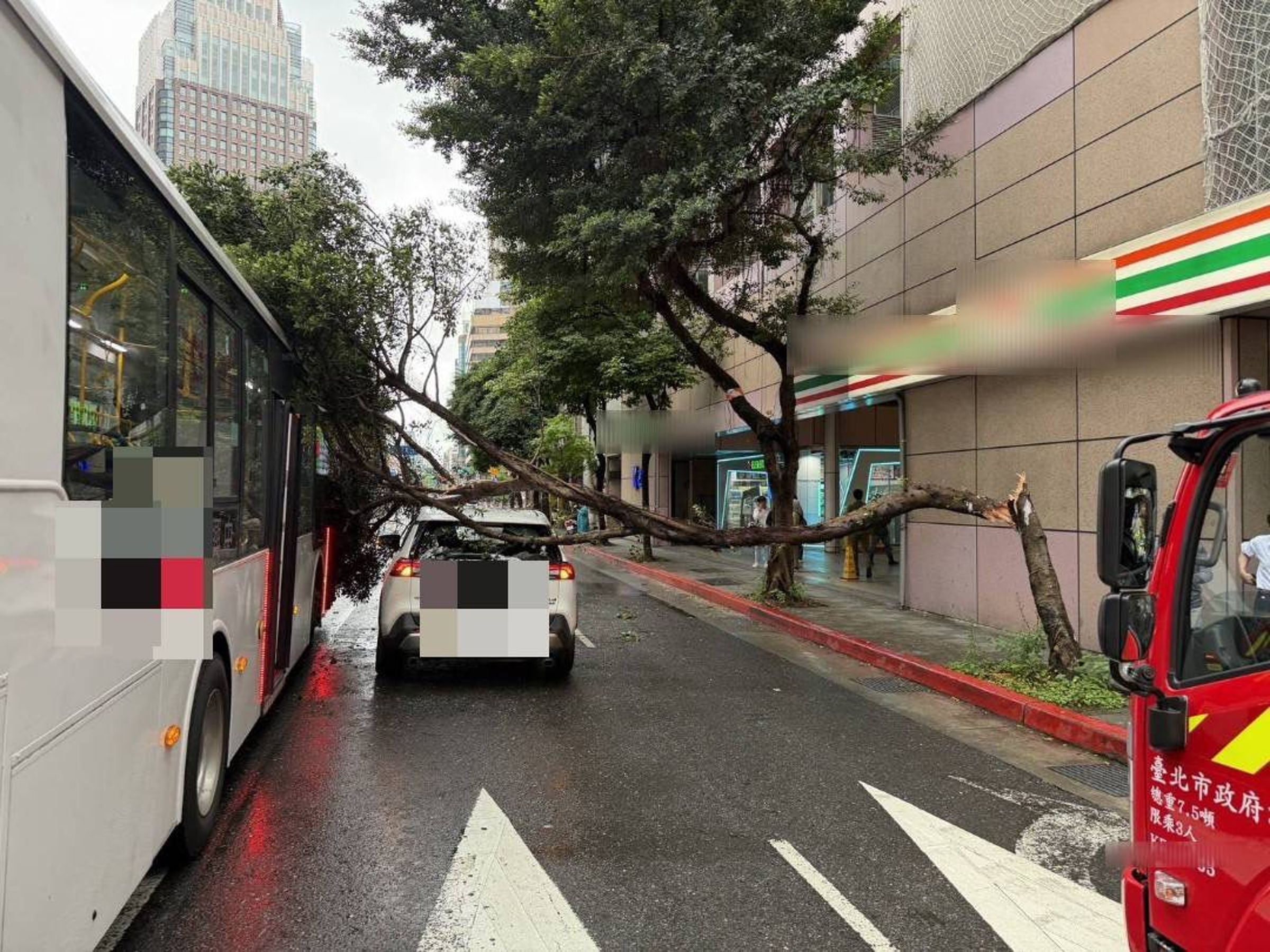 大貨車撞斷路樹後駛離,造成一輛公車和多元計程車遭路樹重壓受損,現場交通一度癱瘓。(翻攝畫面)