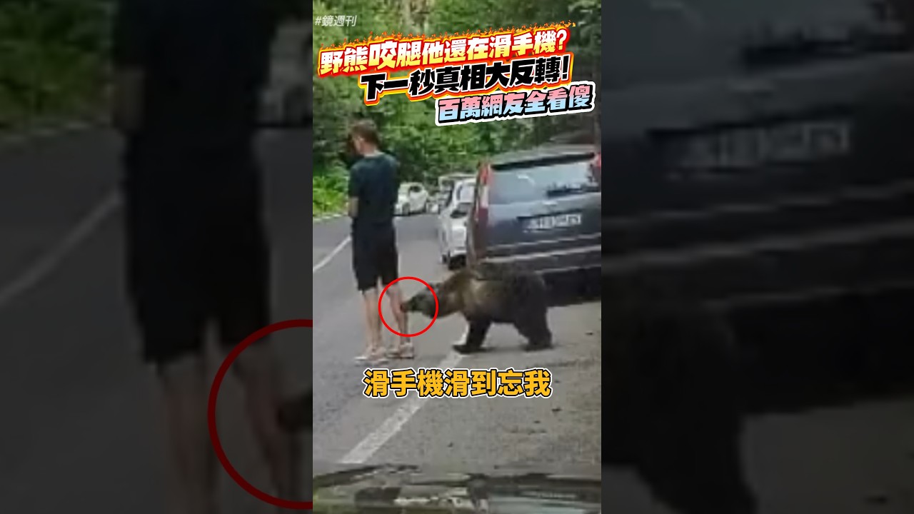 野熊咬腿他還在滑手機?下1秒真相大反轉!百萬網友全看傻#鏡週刊