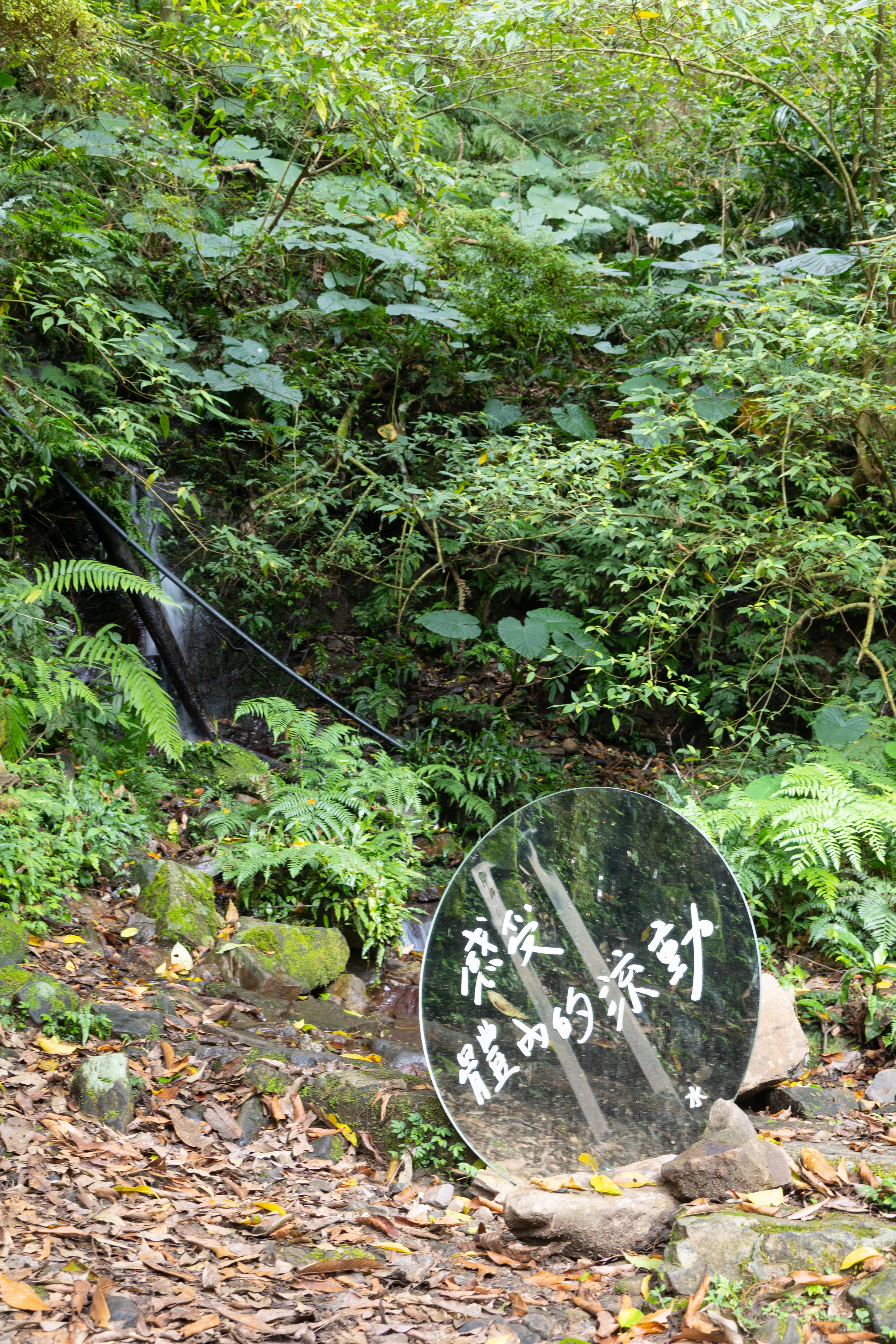 森林知性步道裡的小溪流非常沁涼消暑，路過就能感受涼意。