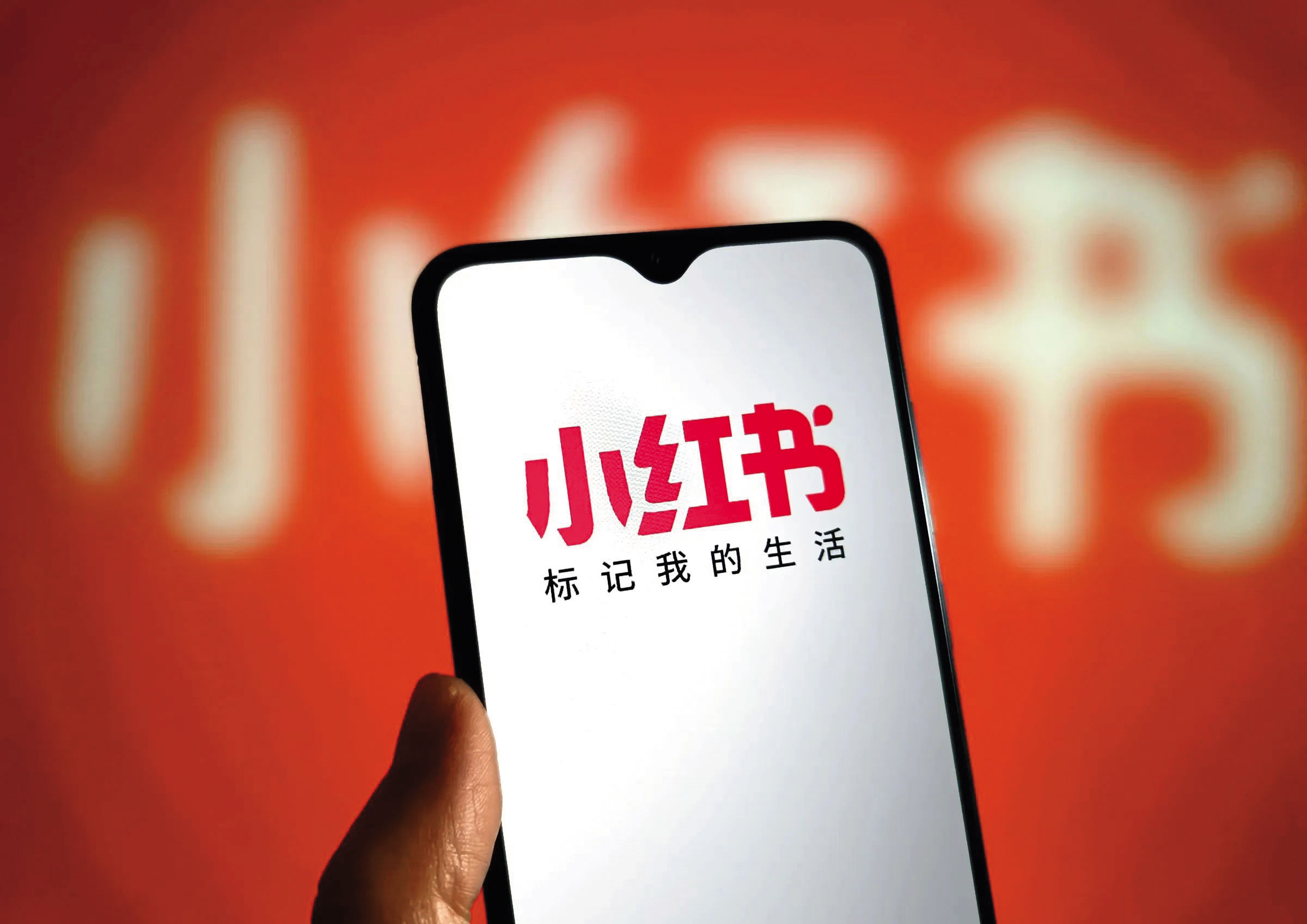 綠營內預見網軍將全力干擾年底選戰,也擔心黨內的應對狀況。(東方IC)