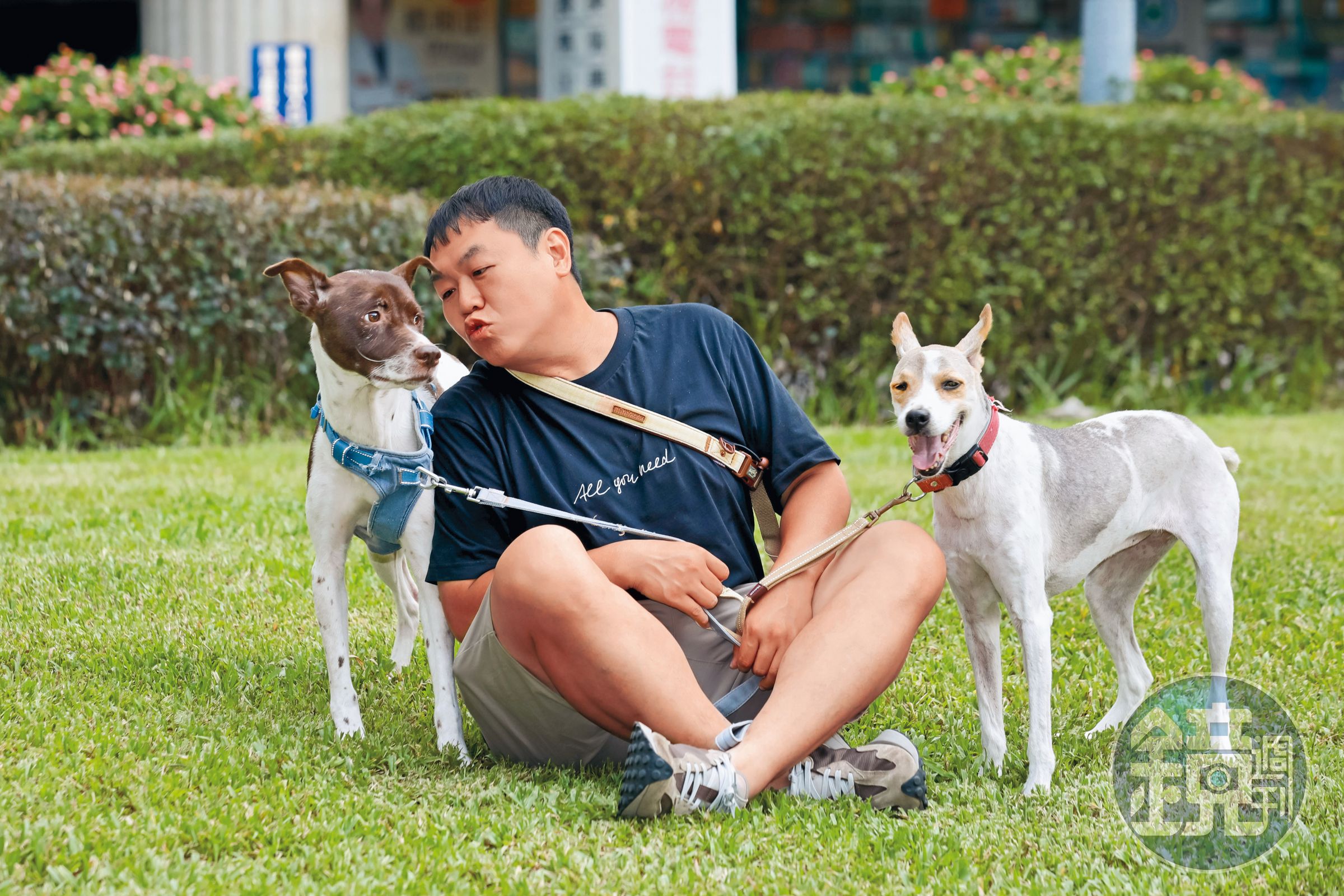 司徒建銘對2隻愛犬QQ（左）、妮妮（右）長期在家打架、互咬的狀況頗為困擾。