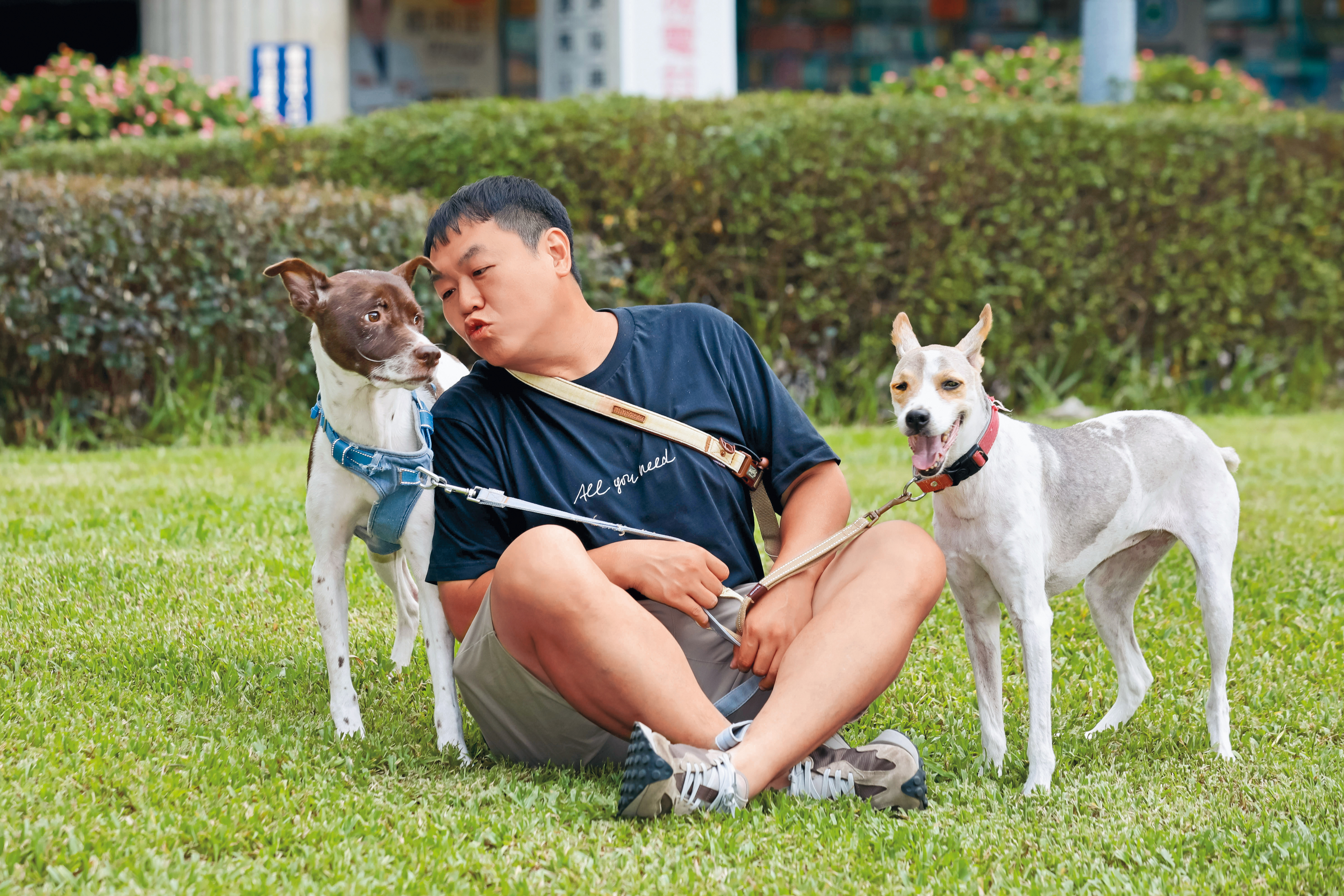 司徒建銘對2隻愛犬QQ（左）、妮妮（右）長期在家打架、互咬的狀況頗為困擾。