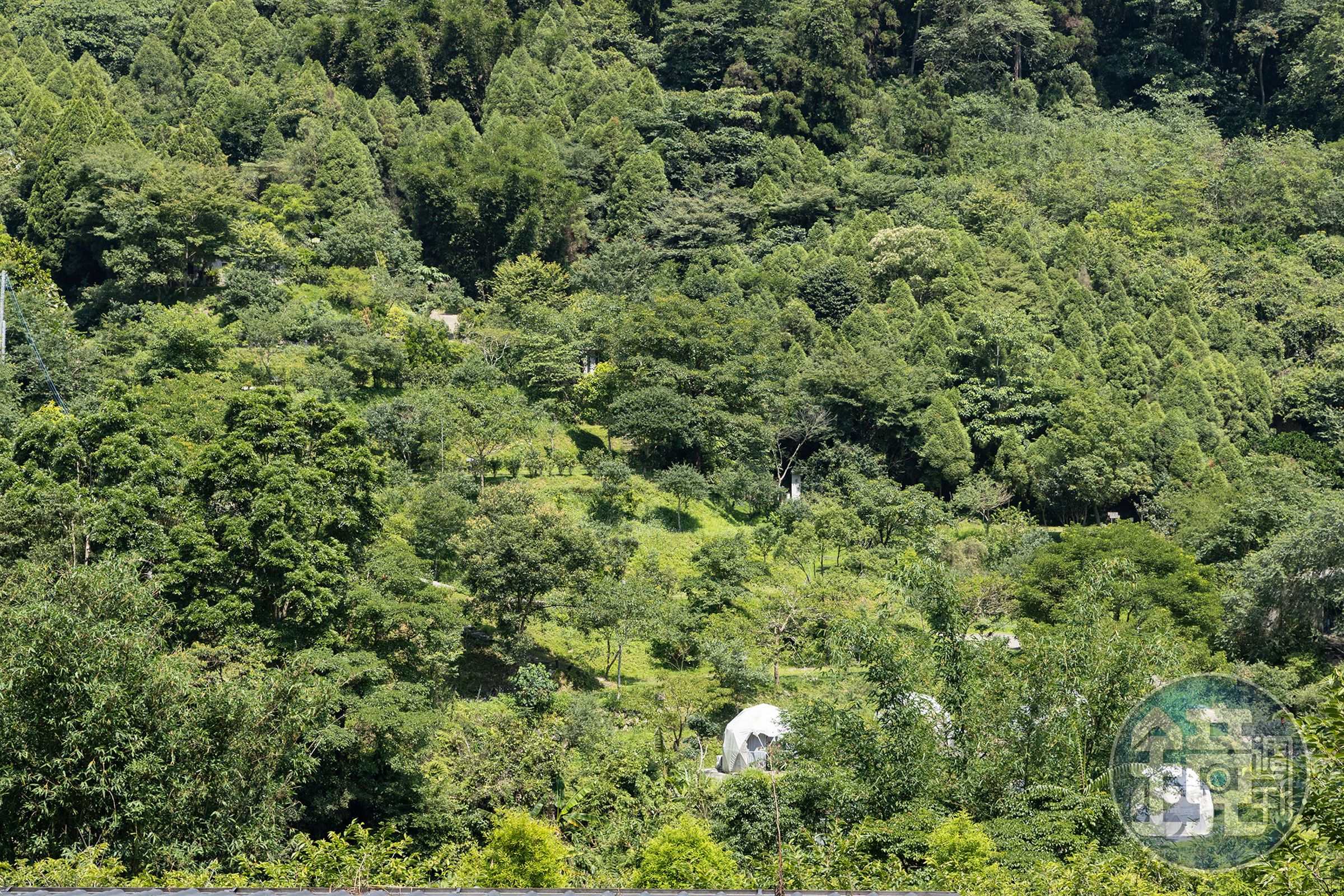 營區坐落梯田區，透過「一樹一山」活動，Wind已種下近3,000棵流蘇花，他希望10年後讓有四月雪之稱的流蘇花在泰雅部落串成花海。