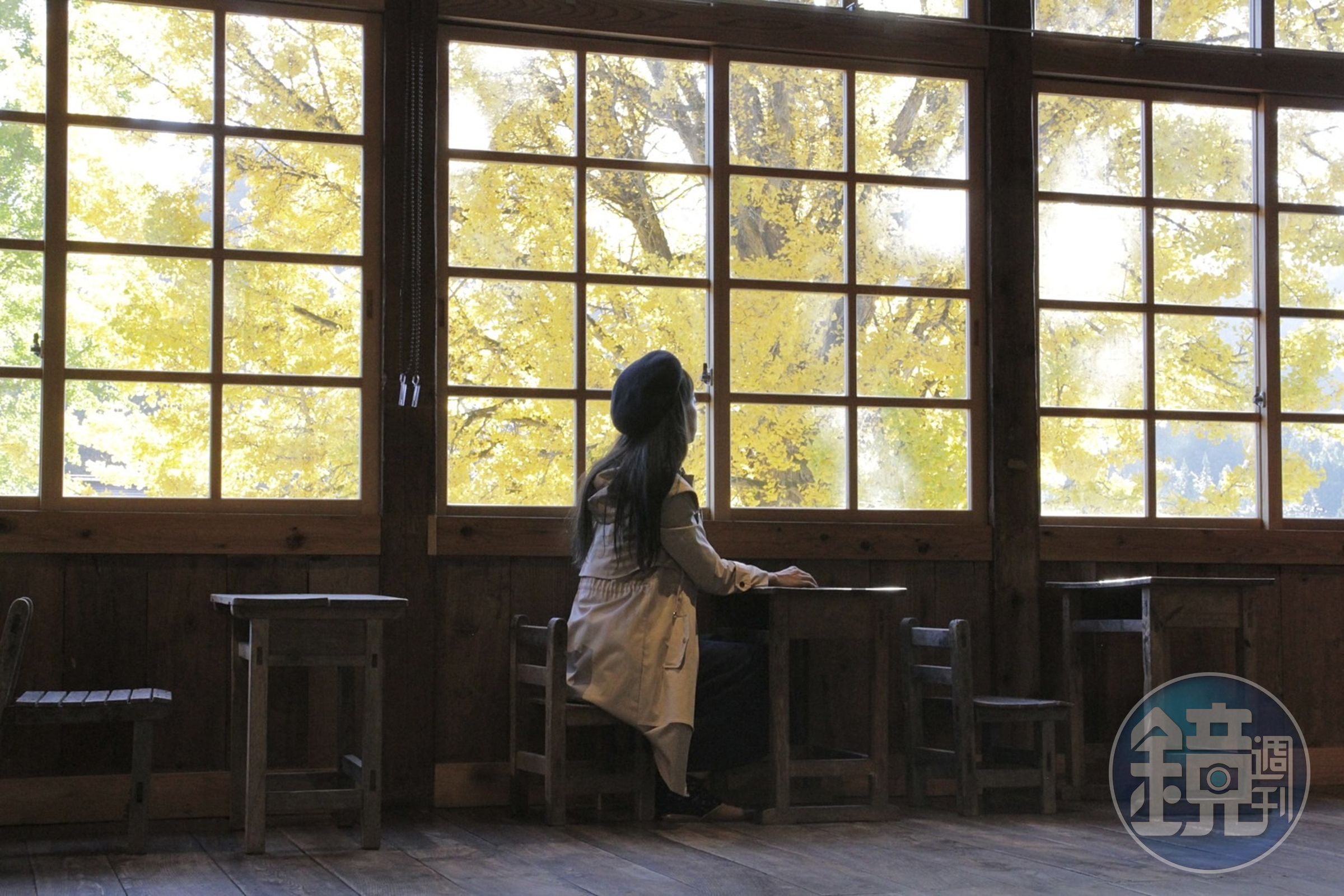 二樓課室中靠窗的同學很幸福，可以看著銀杏樹的四季風貌。
