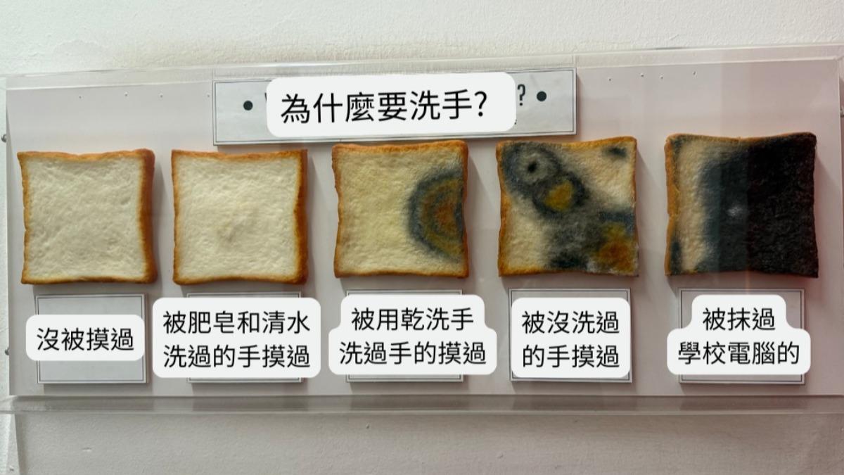 傑登醫師在實驗中示意不同狀態下觸摸吐司。圖為5片吐司放置後的比較照，展示不同手觸摸後的霉菌程度。（翻攝自臉書@傑足先登 傑登醫師）