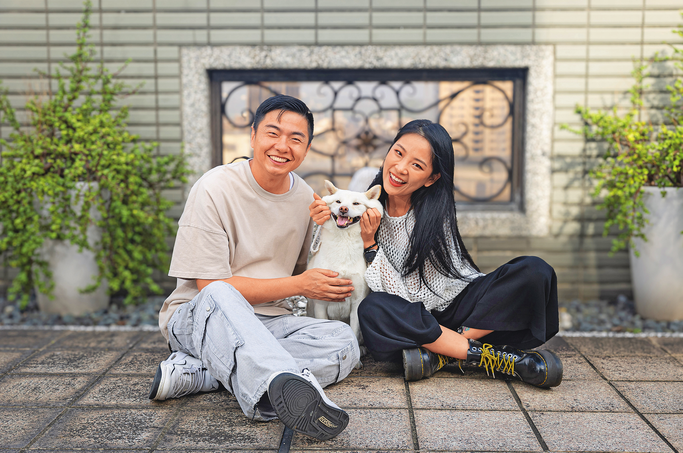 熊爸估狗／白色柴犬不聽使喚　卜星慧神經質嚇壞天使狗