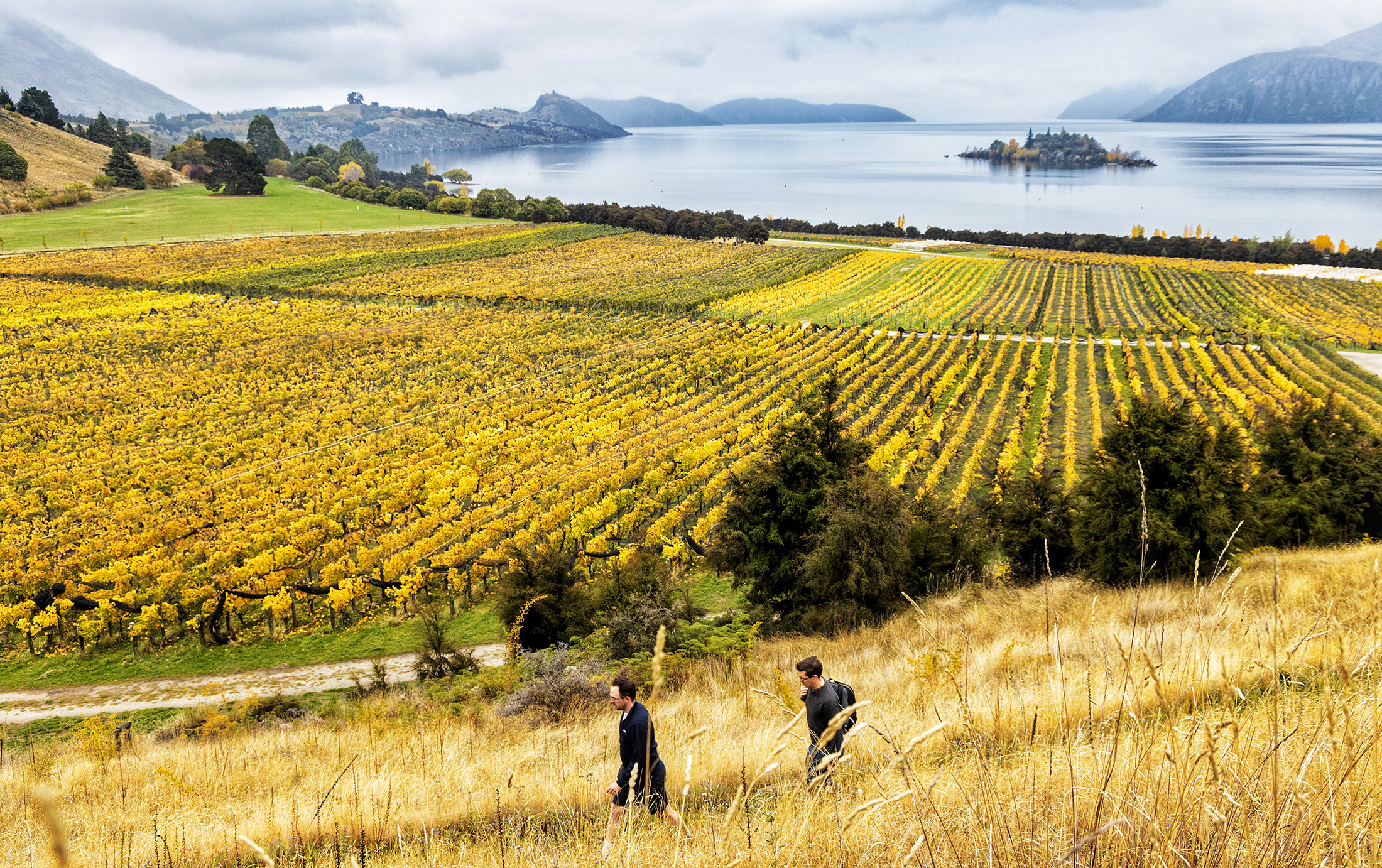 位於紐西蘭南島中奧塔哥的「Rippon」，不僅出產多支屢獲國際評酒人肯定的葡萄酒，更擁有「全紐西蘭景色最美酒莊」的稱號。