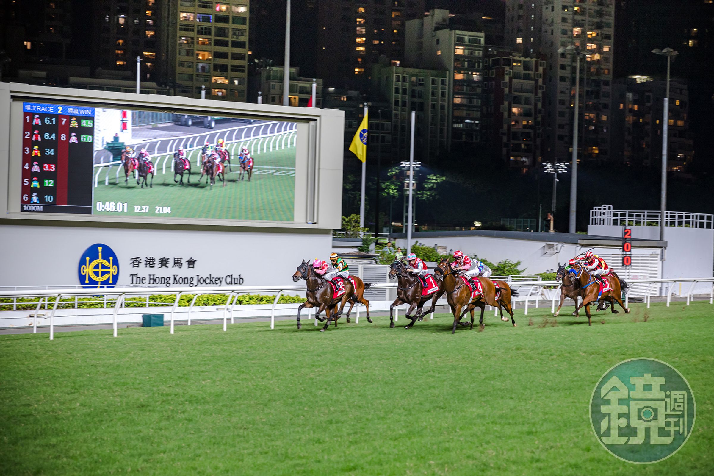 看馬兒們狂奔至終點的過程,非常刺激與血脈賁張。