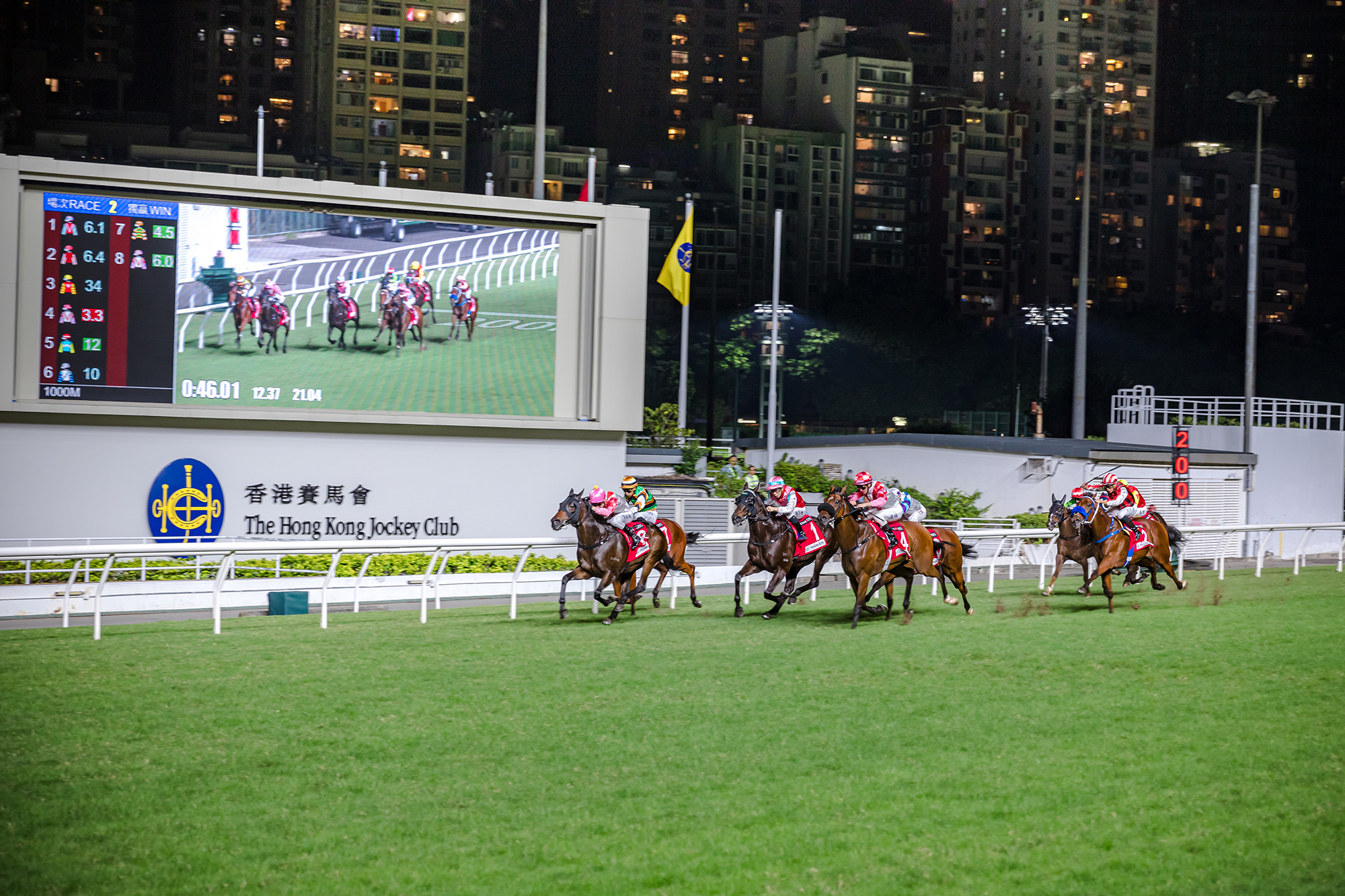看馬兒們狂奔至終點的過程，非常刺激與血脈賁張。