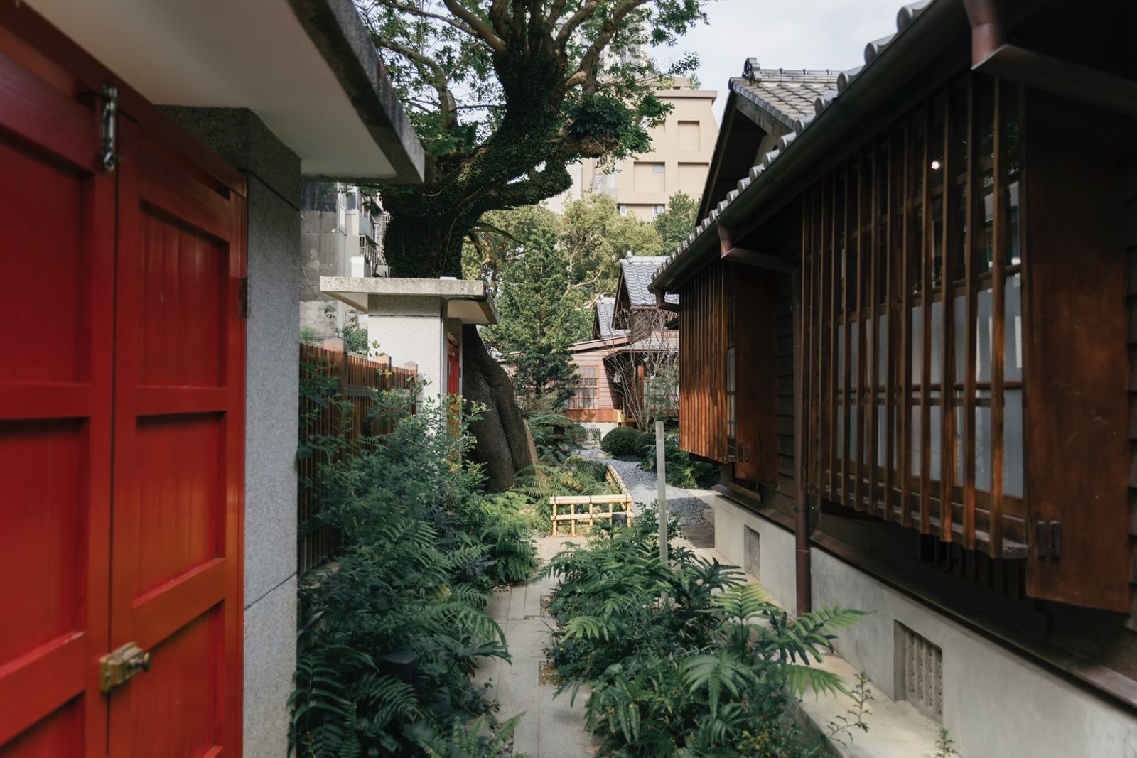 「蒔光巷」以家庭花園為靈感，種植具經濟價值的植物，穿插復育成功的瀕危植物，形成了一個生態共生環境。（圖／0km山物所提供）