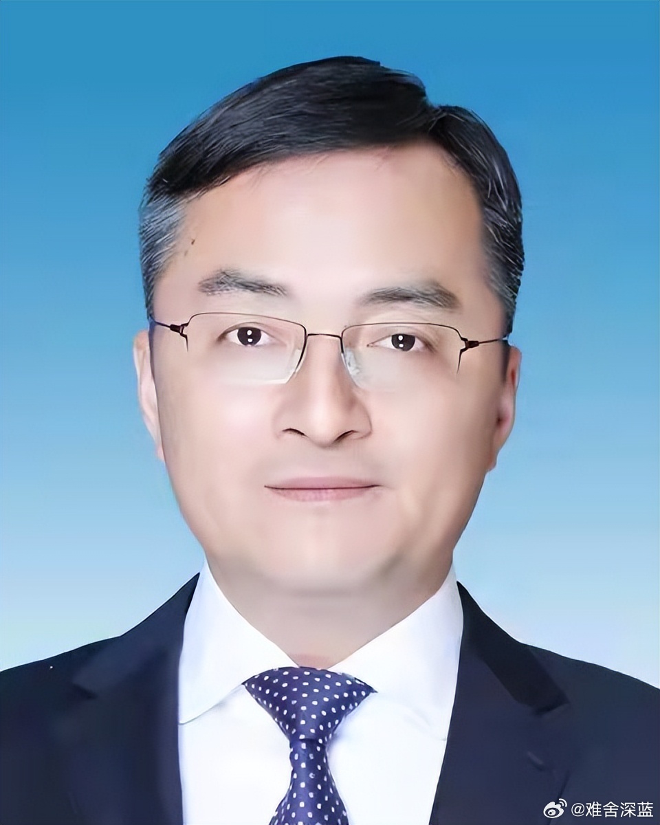 中國江西省南昌市政府原黨組成員、副市長王強去年落馬。（翻攝微博）