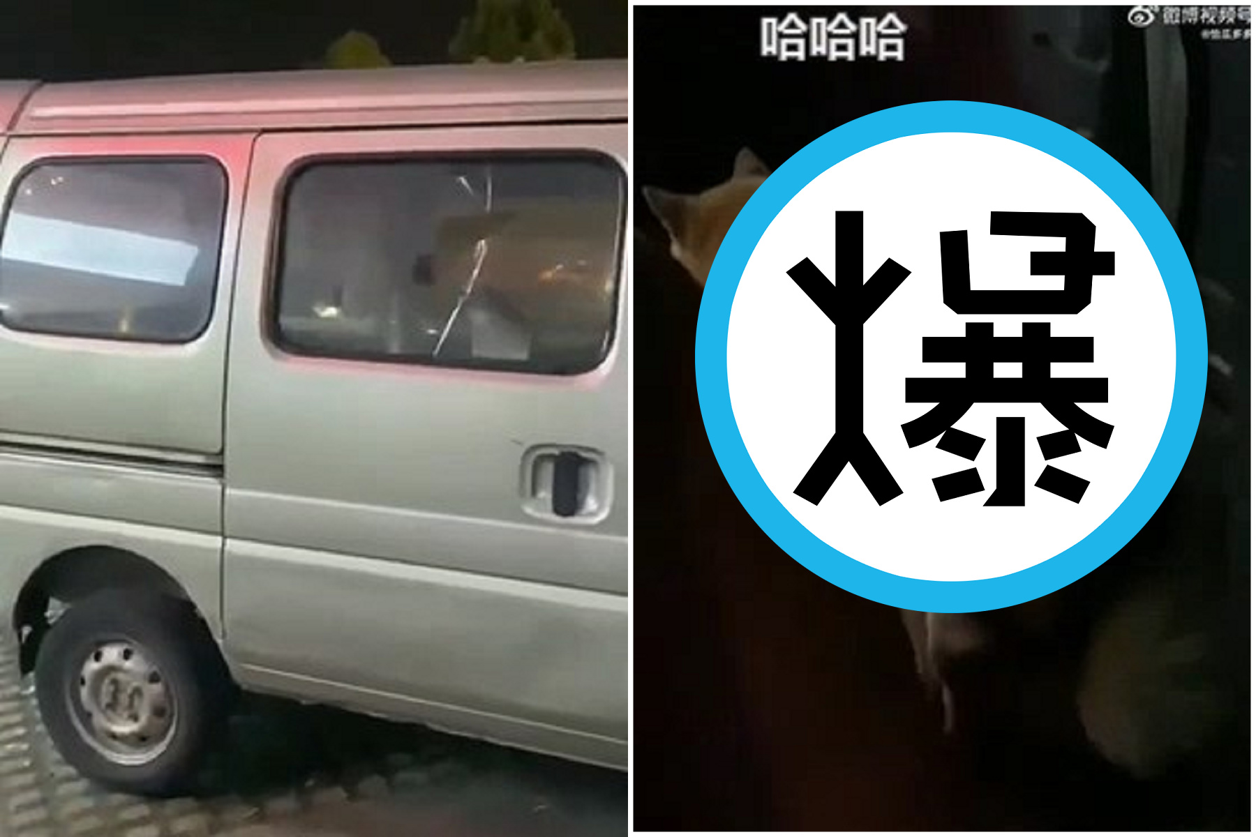 最狂車震！超自然震動太搖擺，直擊愛愛現場讓網友驚呆了。（翻自微博）