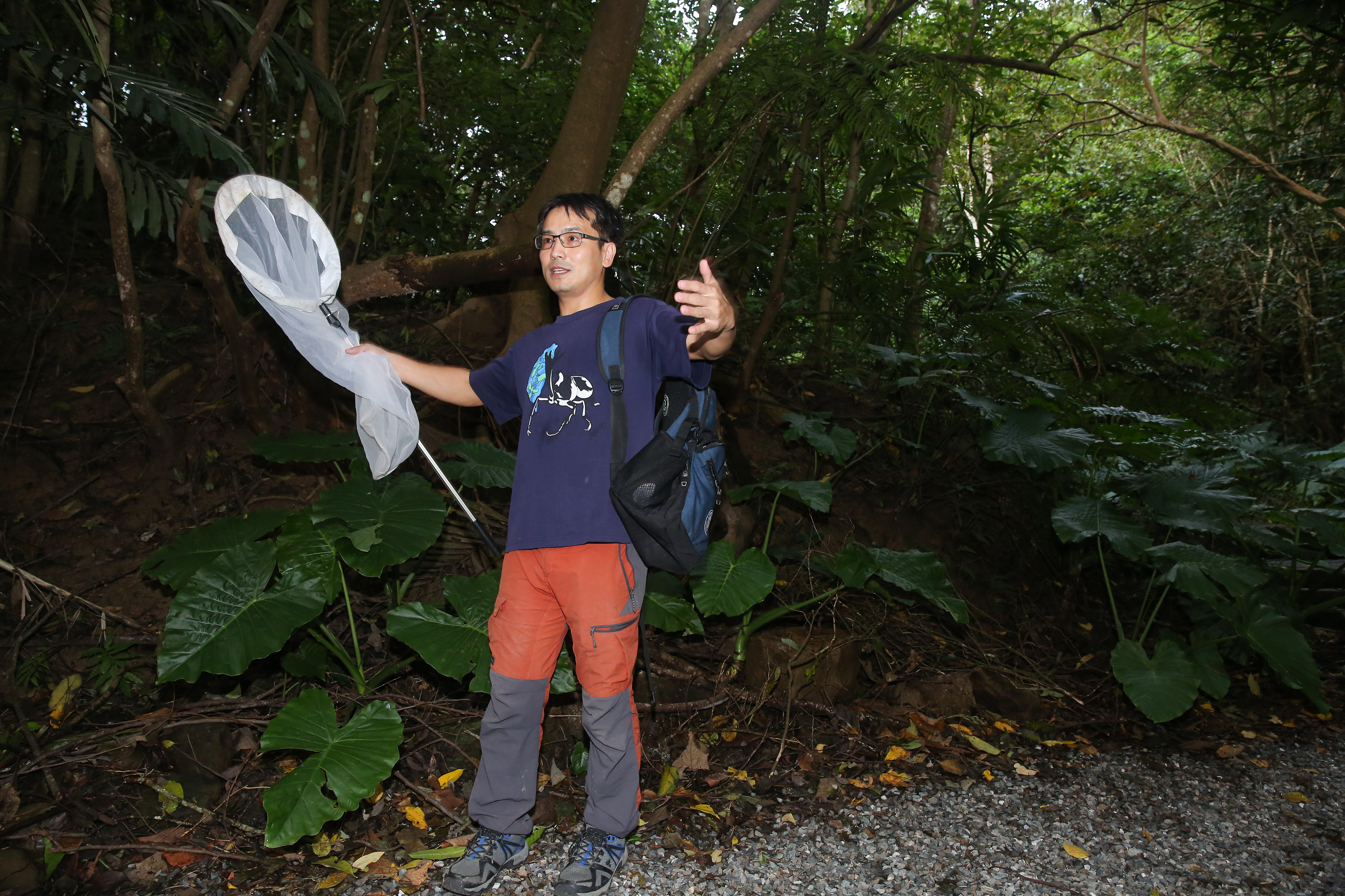 昆蟲館也舉辦野外導覽課程,柯心平手拿捕蟲網,帶著民眾到野外進行導覽解說。