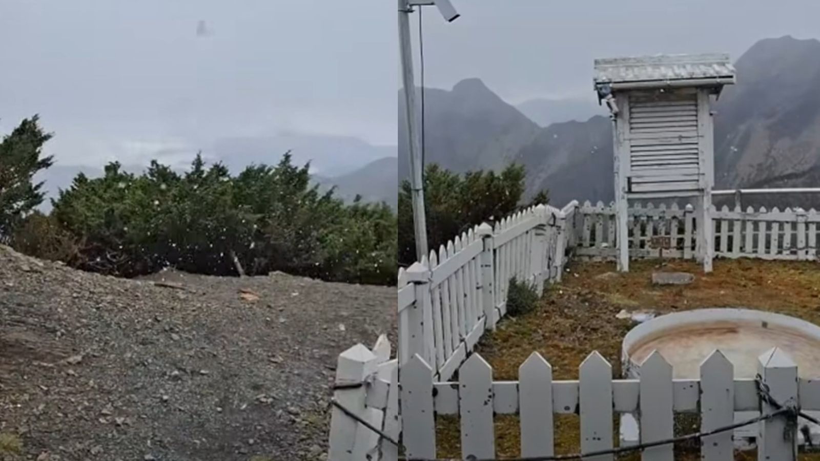 有片/玉山初雪降臨「持續30分」! 銀白雪花飄落畫面好浪漫