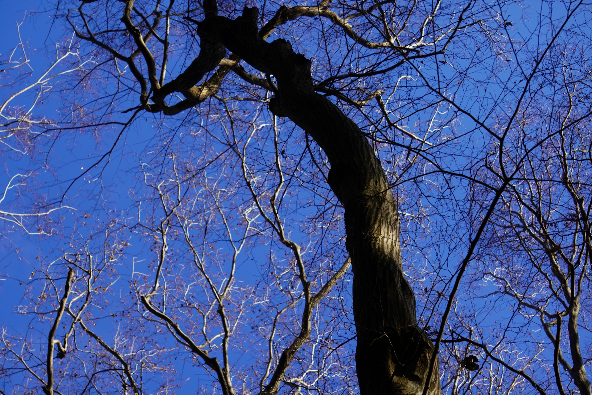 強烈大陸冷氣團來襲，各地天氣明顯轉冷，1月5日迎來二十四節氣中的「小寒」。（翻攝自photo-ac）
