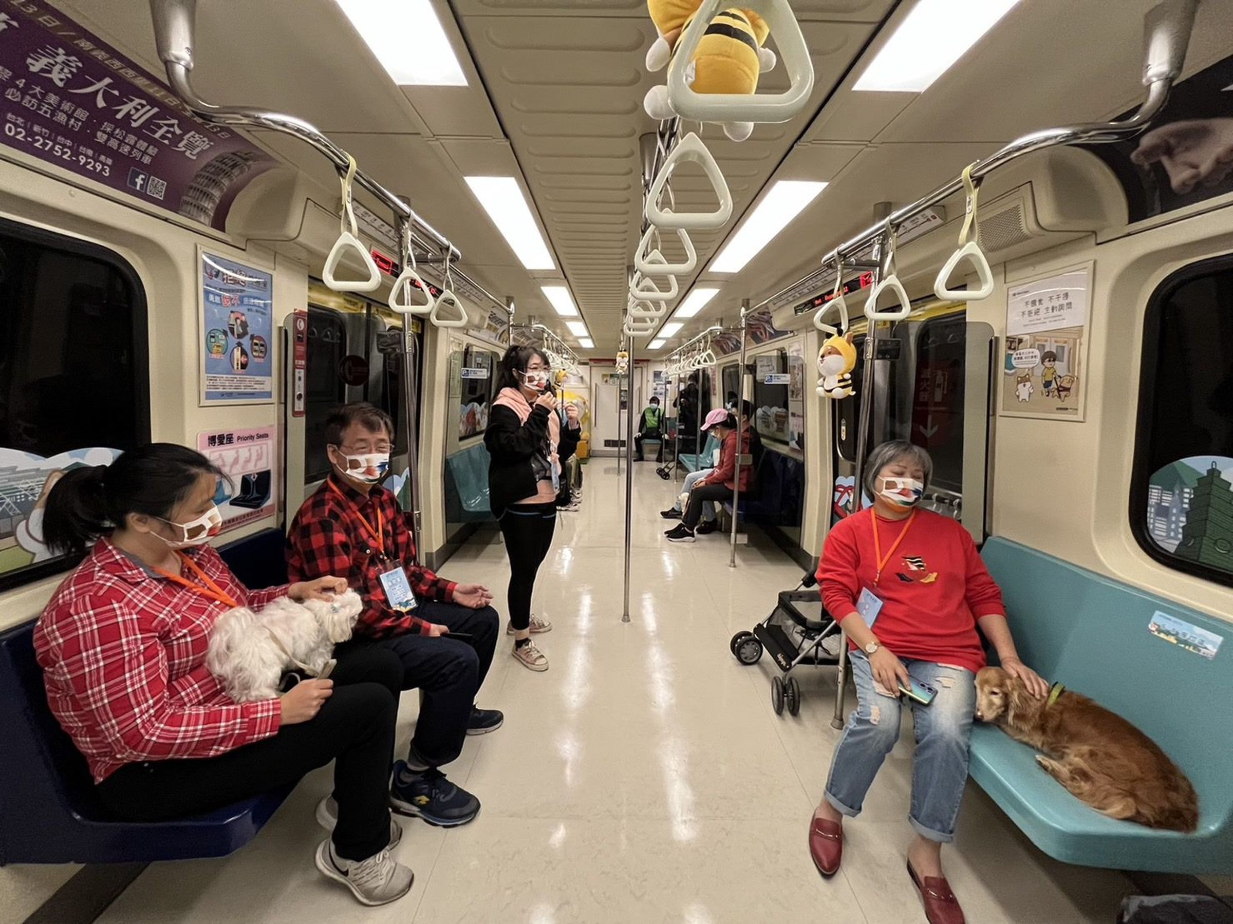 北捷今年「寵物友善列車」將於31日擴大舉辦,喵星人、汪星人可搭乘特定時段列車免關籠。圖為去年北捷寵物專車活動照片。(北捷提供)