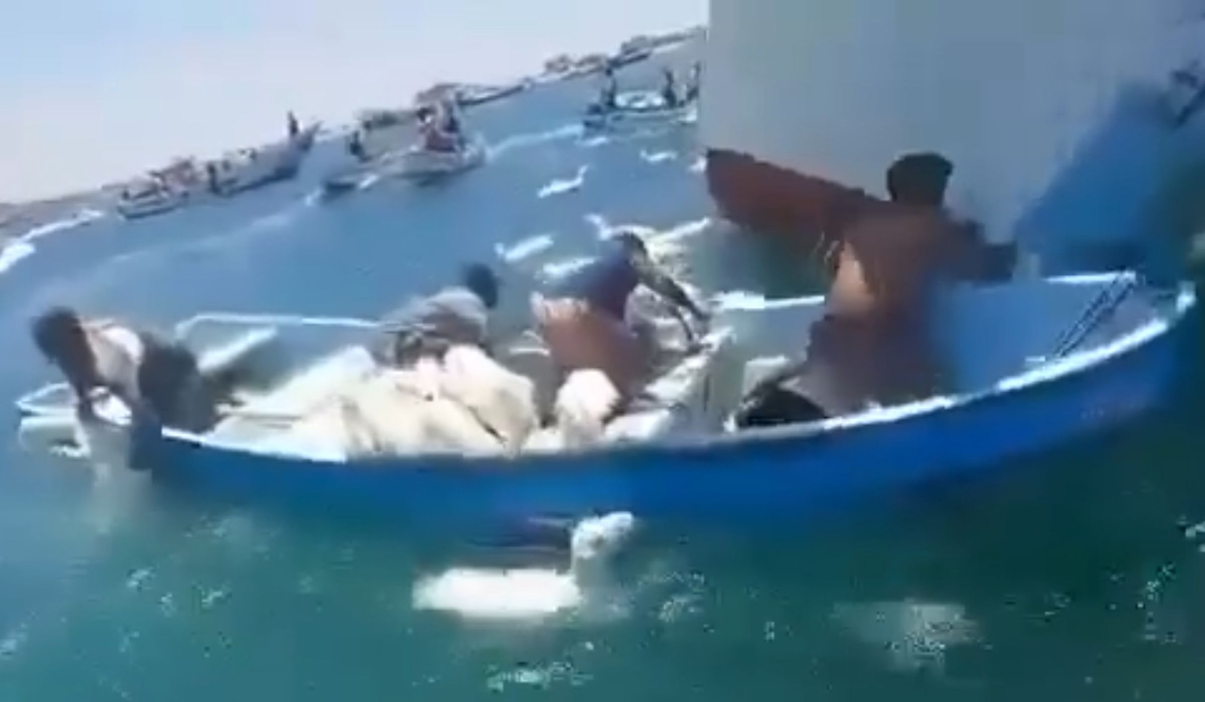 數千隻羊在大海中載浮載沉。（翻攝 Israel Against Live Shipments粉絲專頁）