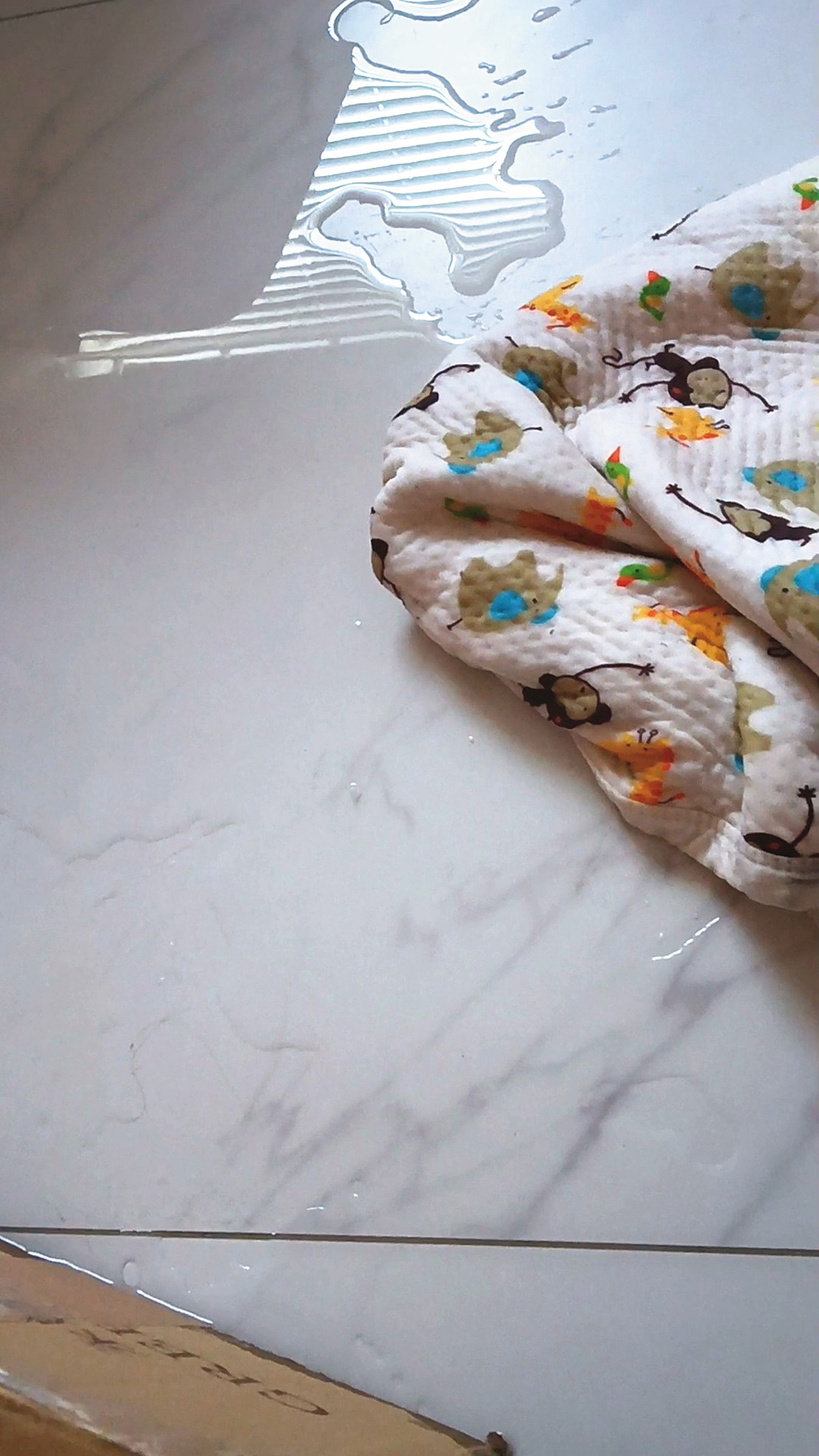 Makiyo和房東多次協商修繕漏水未果，房東以她遲繳房租為由要求搬離。（Makiyo提供）