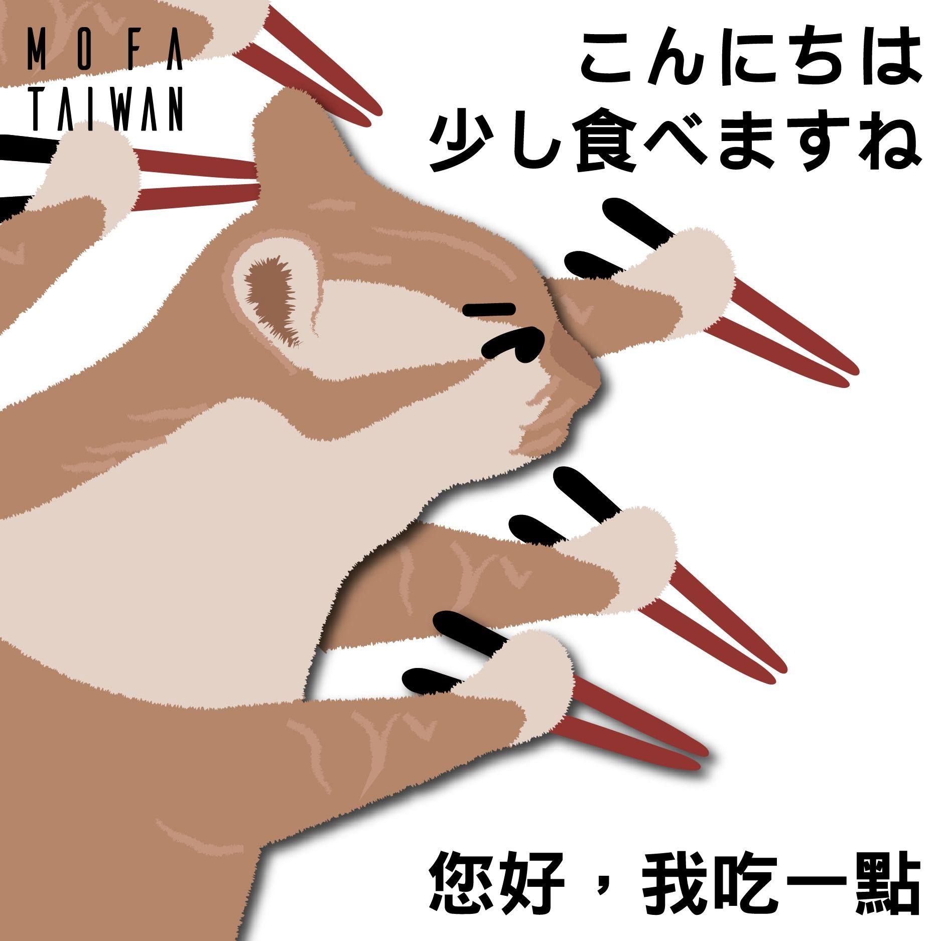 外交部發布貓咪迷因。(翻攝外交部X)