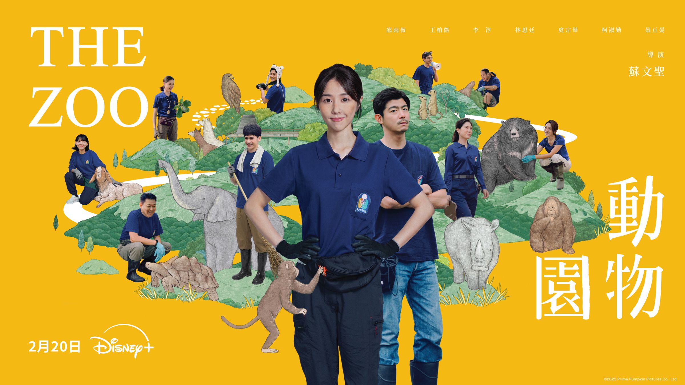王柏傑、邵雨薇主演的職人愛情劇《動物園》於今日正式宣布將於2月20日在Disney+ 登場。(Disney+)