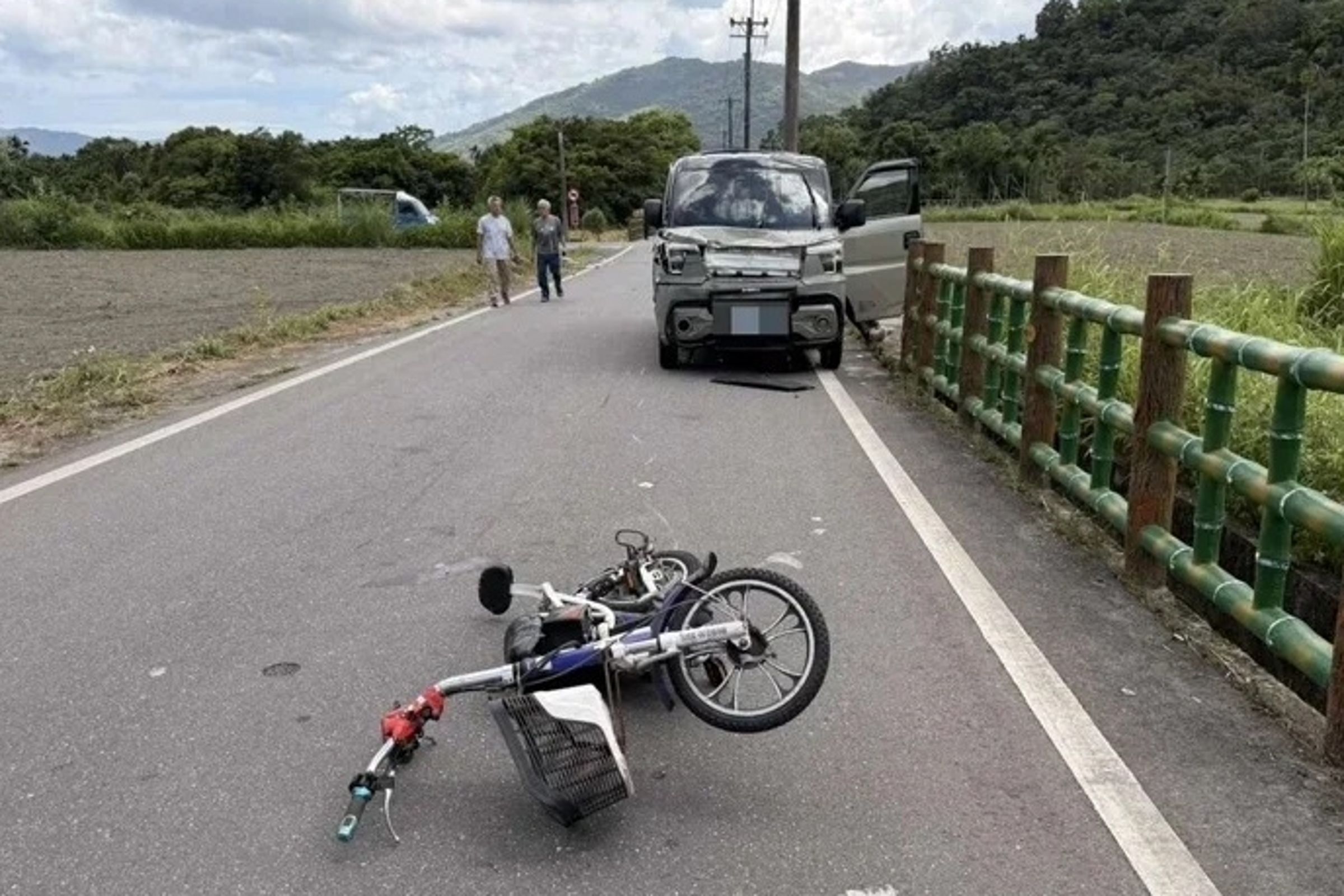 花蓮縣萬榮鄉14日中午發生一起令人痛心的重大車禍。(翻攝畫面)