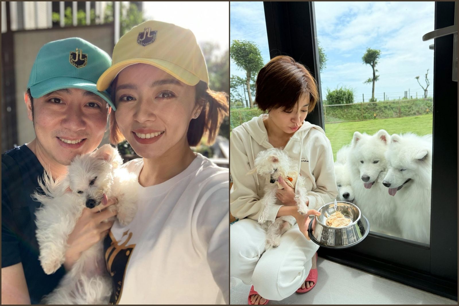 艾成走了愛犬哈嚕走了 失去的功課王瞳依然在面對