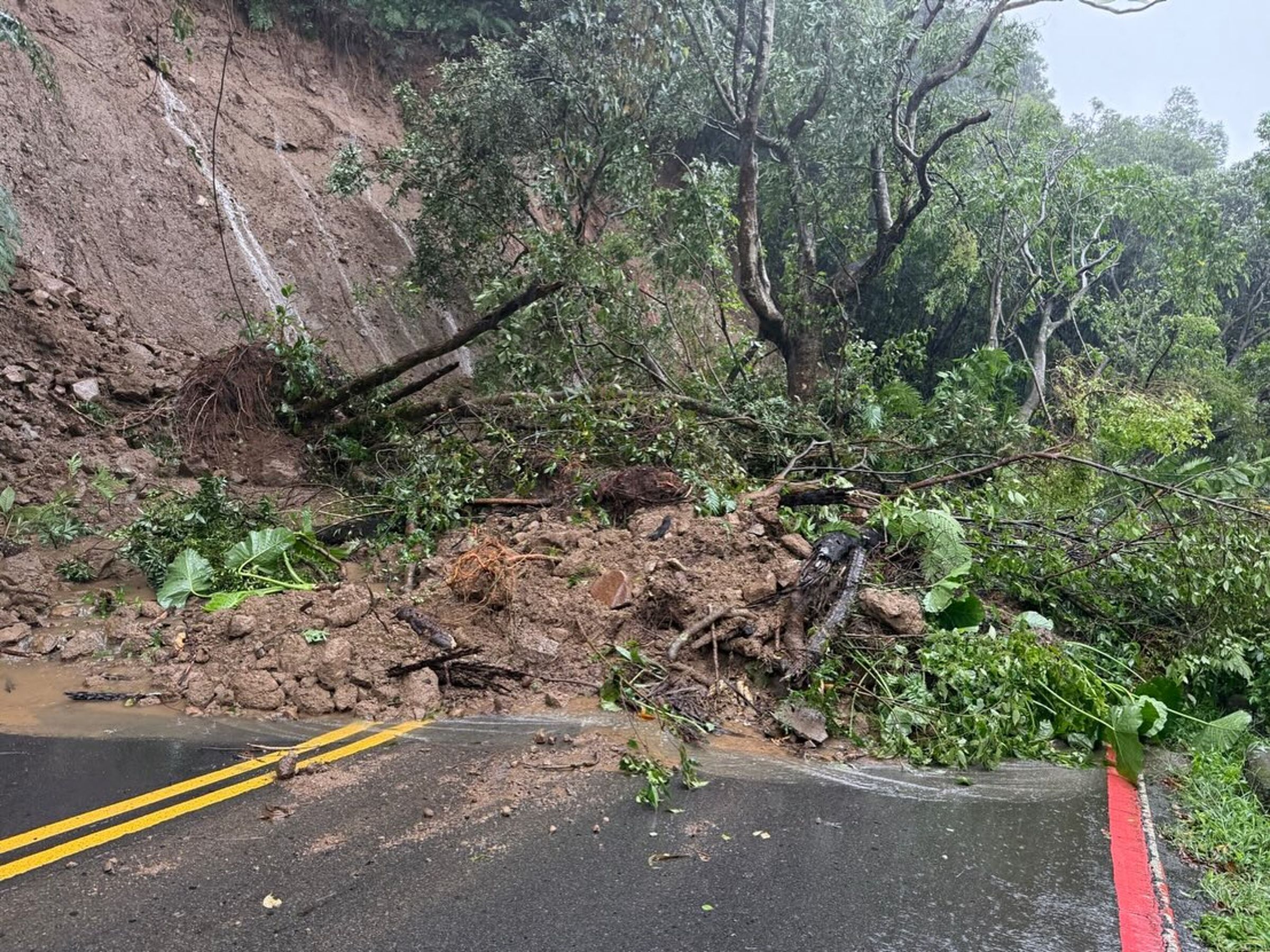 陽明山菁山路因連日大雨導致邊坡土石滑落、泥流淹沒路面。(翻攝自陳重文Threads)