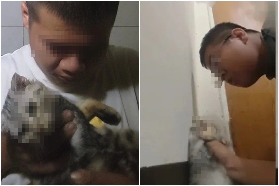 25歲林姓男子涉嫌虐貓，大票網友齊力肉搜、檢舉報警。（翻攝自當事者臉書、Dcard）