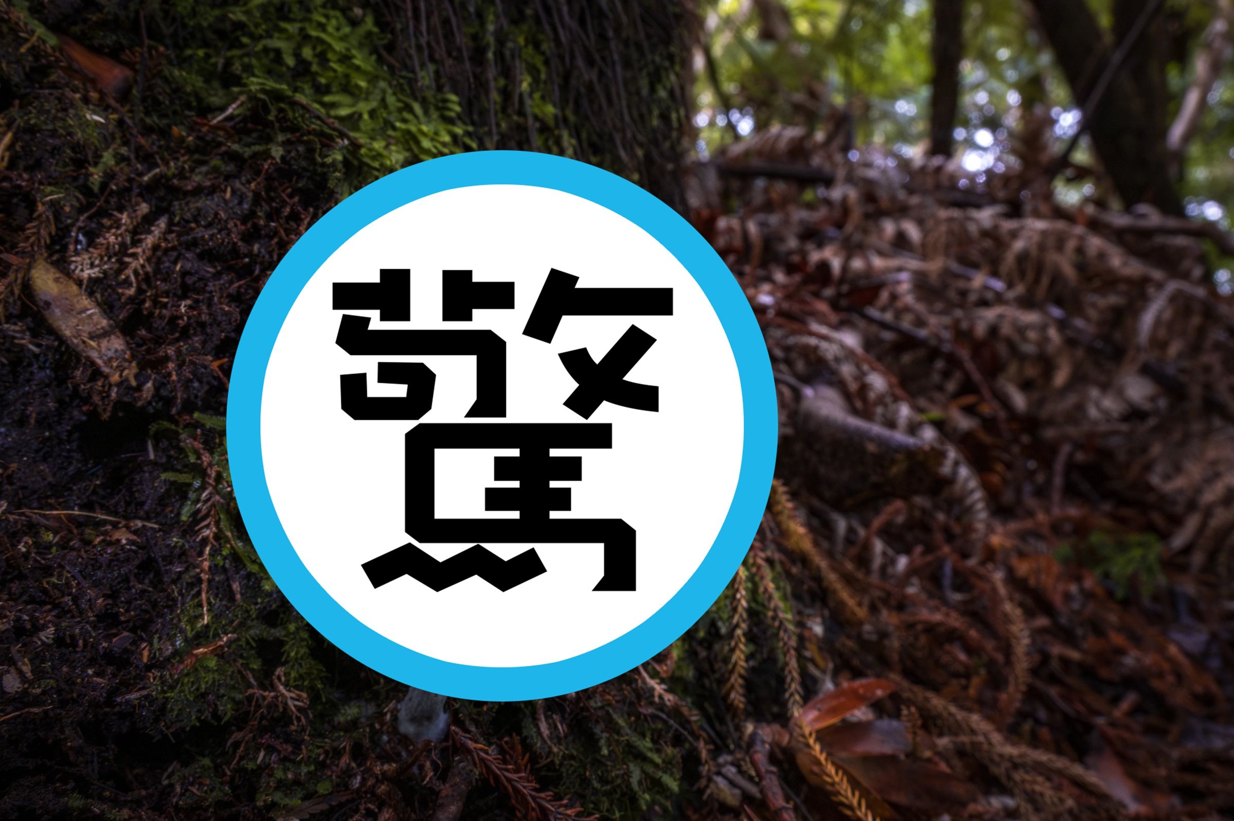 有日本網友在野外發現「藍瘦香菇」。(翻攝自X@Invertebratist)