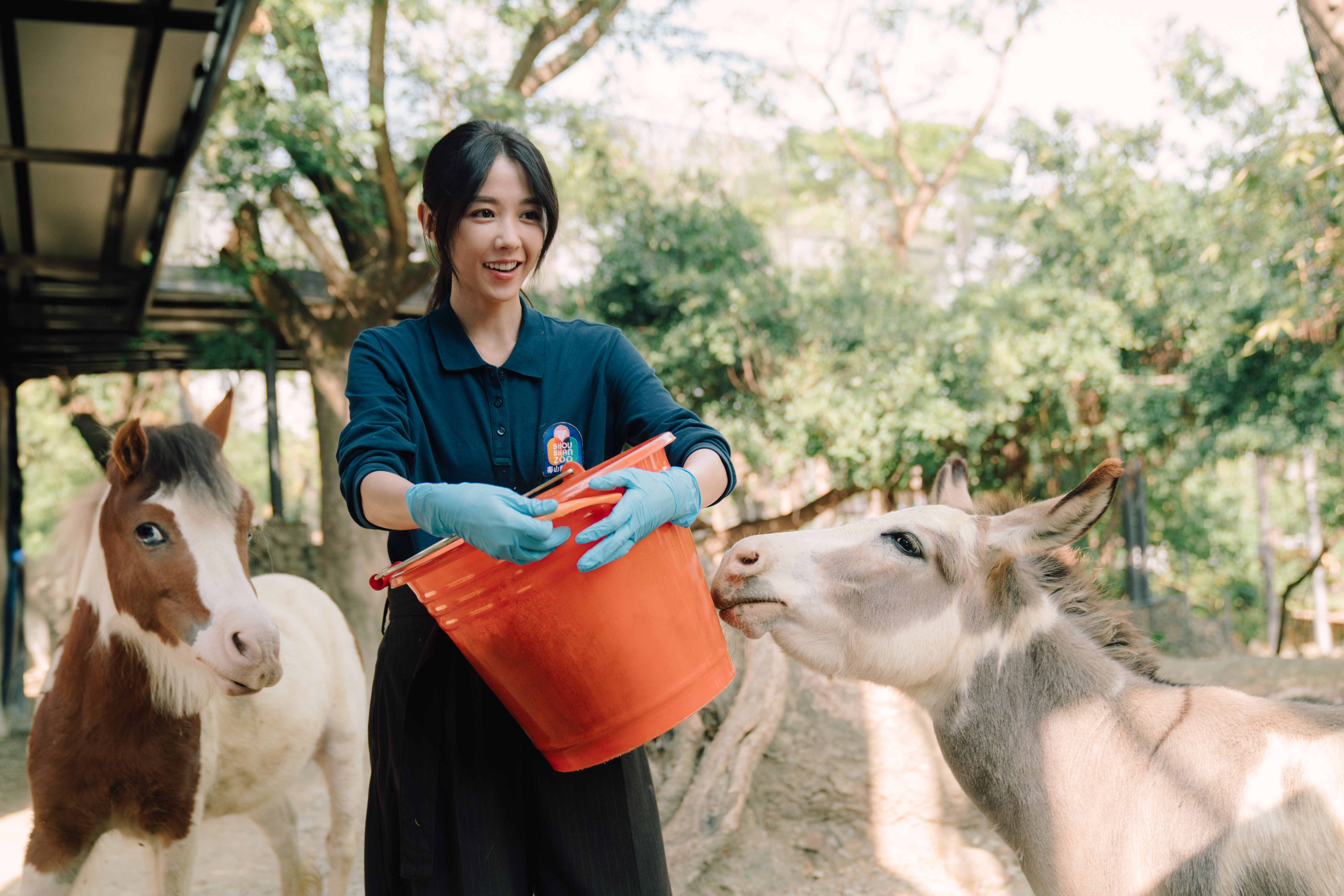 邵雨薇在《動物園》中飾演廣告菁英，陰錯陽差成為高雄壽山動物園的實習保育。（Disney+提供）