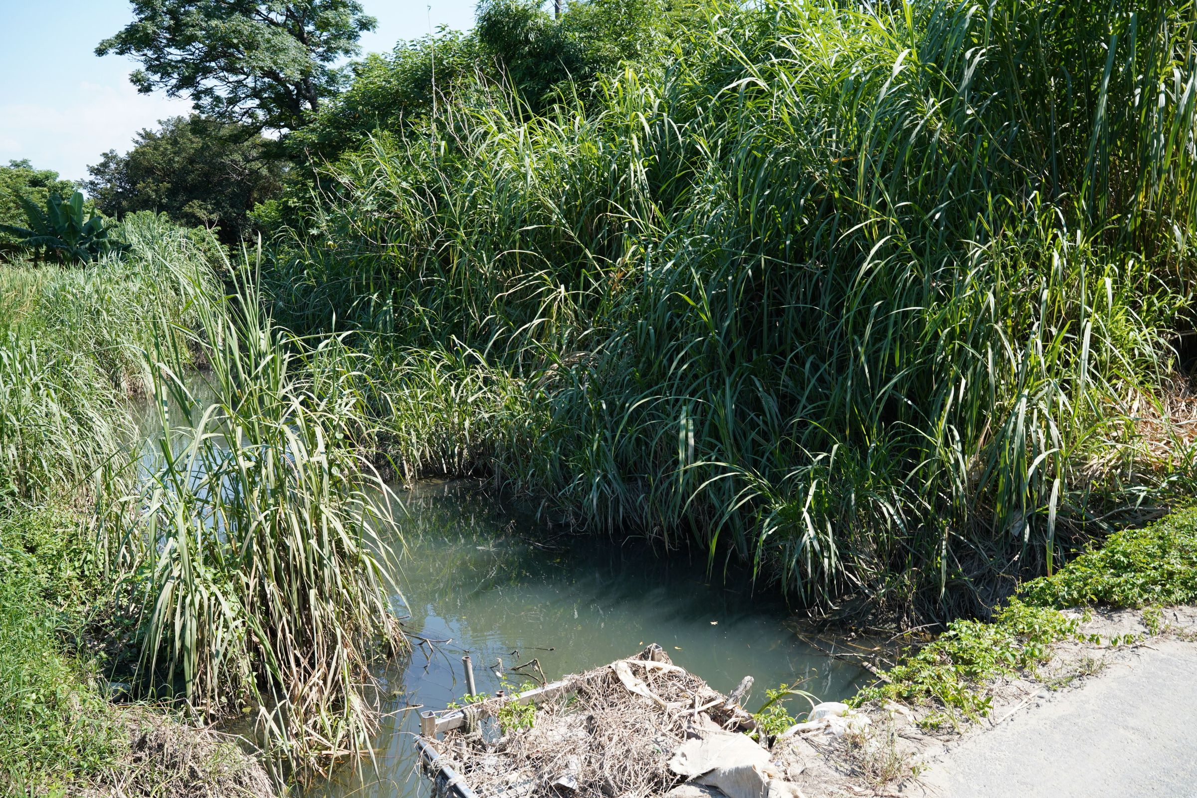 此鳳山溪支線屬未有明確權責單位的「其他排水」。(新竹縣政府提供)