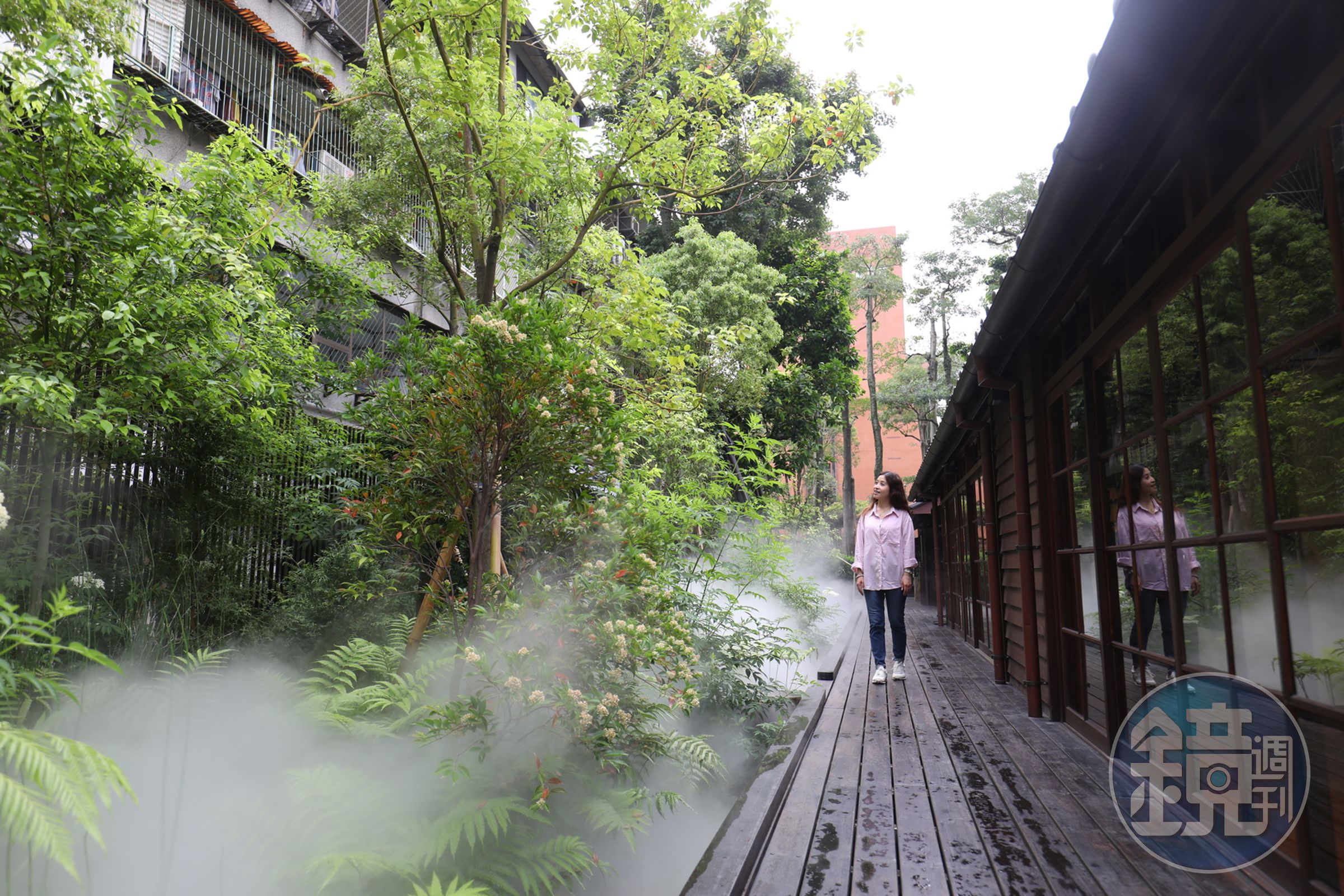 「次森林」的老樟樹群周遭定時噴起水霧給予植物滋養,也像極了漫步在森林裡偶遇的晨霧。